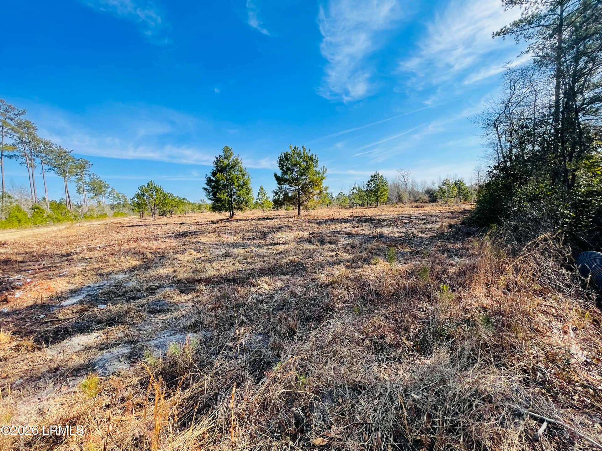 0 E Gillisonville Road, Ridgeland, SC 29936 — photo 3 of 10