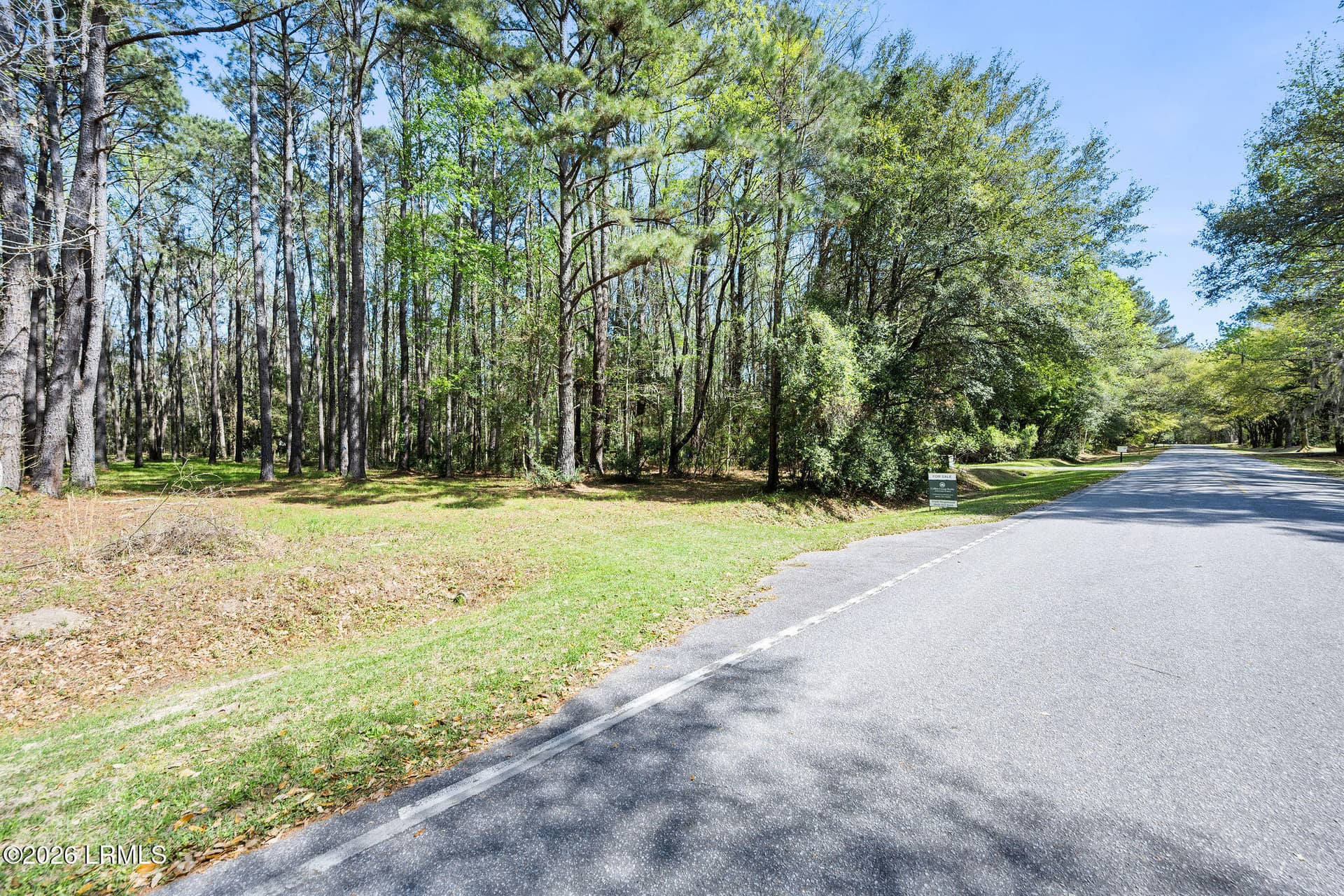 3 Broadview Drive, Ridgeland, SC 29936 — photo 5 of 24