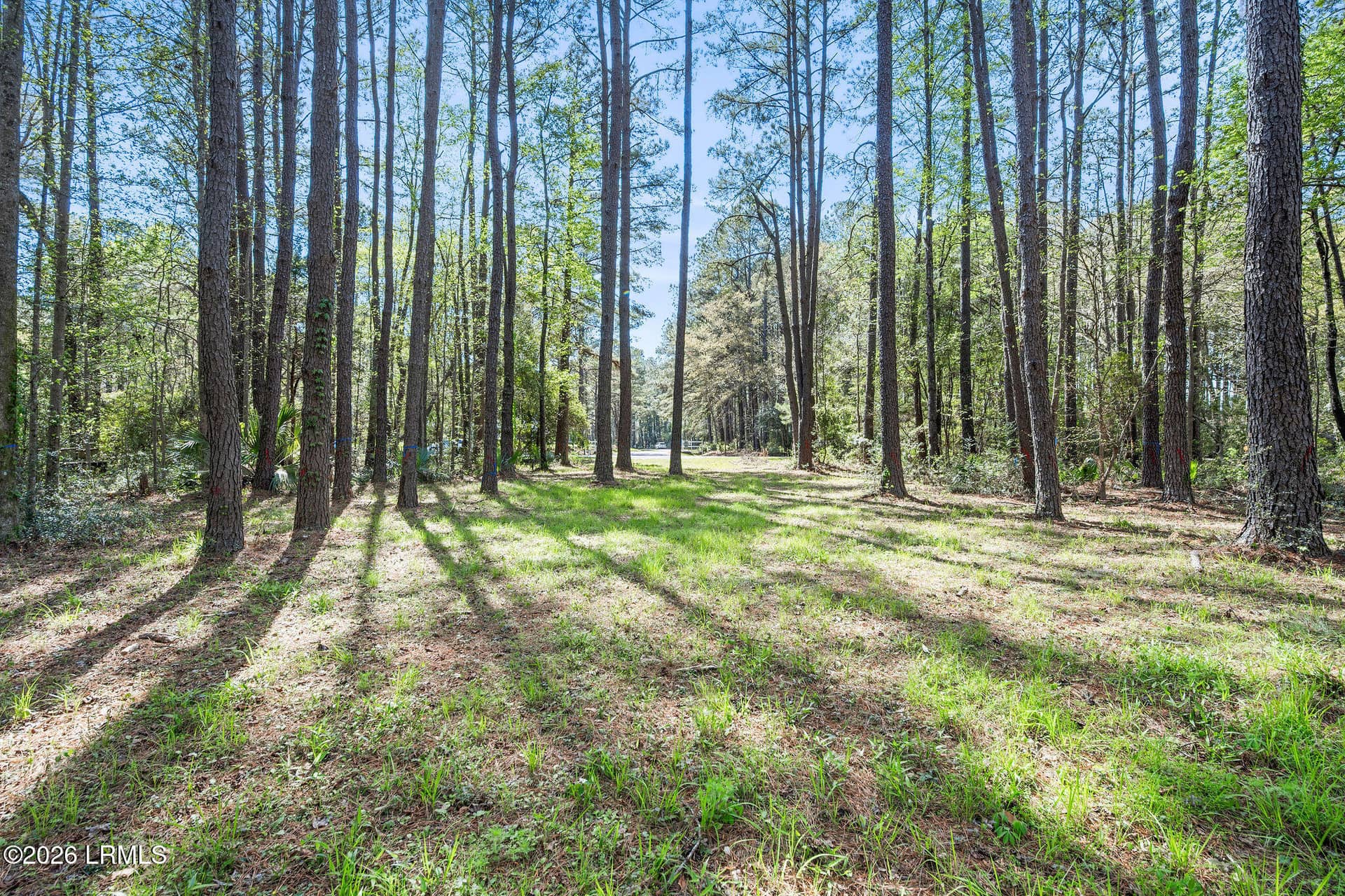 3 Broadview Drive, Ridgeland, SC 29936 — photo 6 of 24