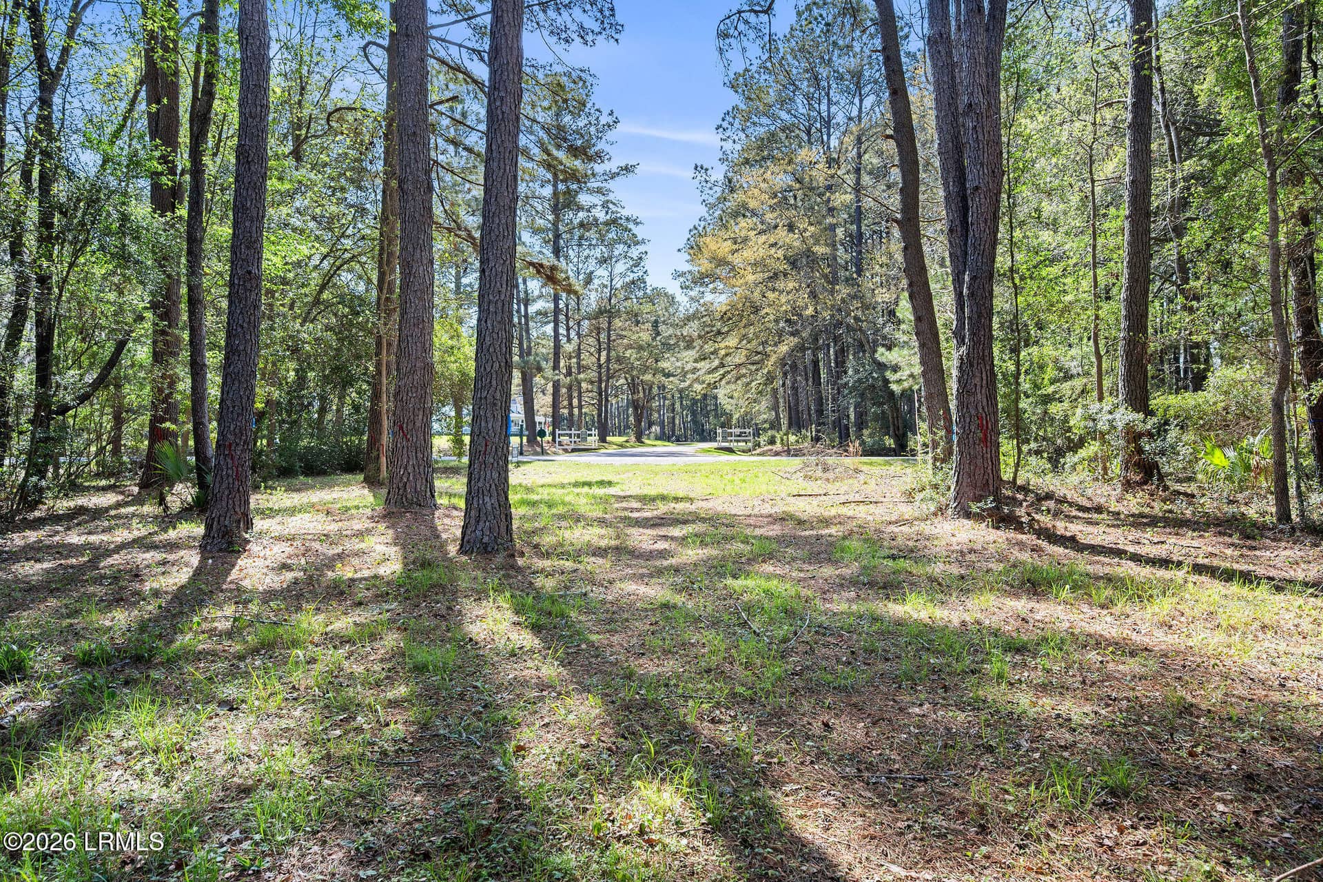 3 Broadview Drive, Ridgeland, SC 29936 — photo 7 of 24
