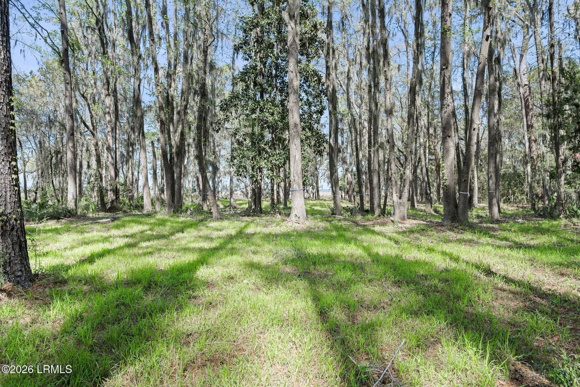 3 Broadview Drive, Ridgeland, SC 29936 — photo 8 of 24
