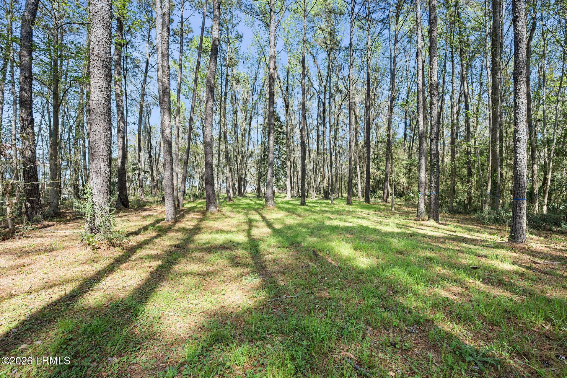 3 Broadview Drive, Ridgeland, SC 29936 — photo 10 of 24
