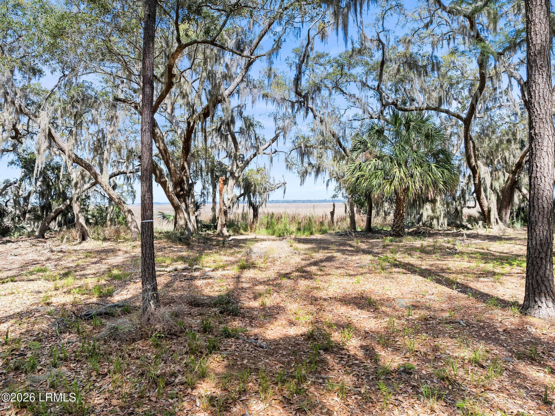 3 Broadview Drive, Ridgeland, SC 29936 — photo 11 of 24