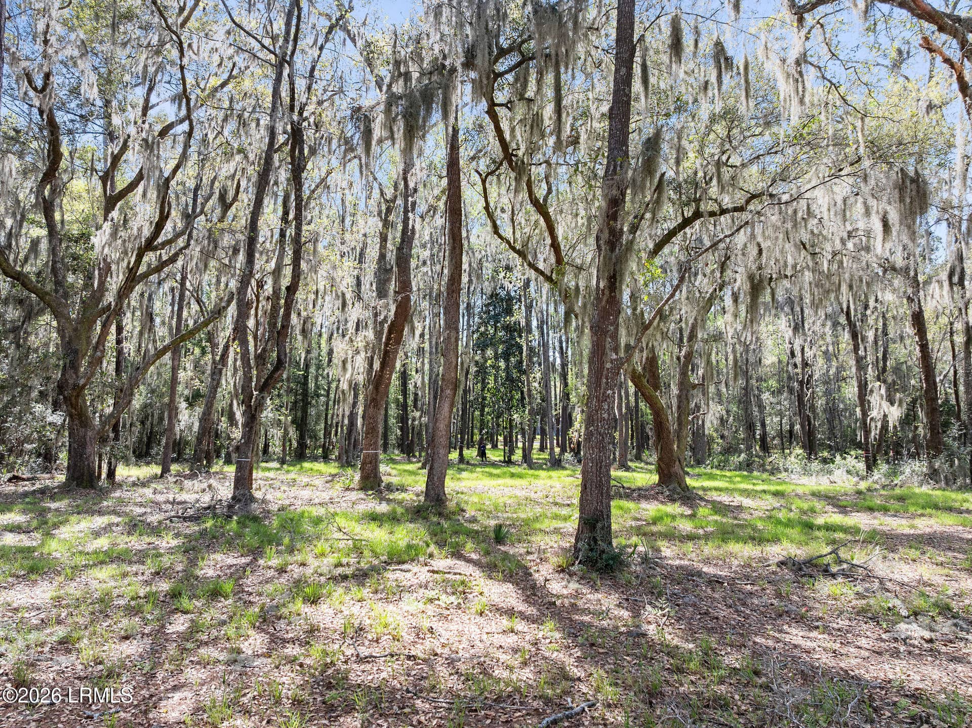 3 Broadview Drive, Ridgeland, SC 29936 — photo 14 of 24
