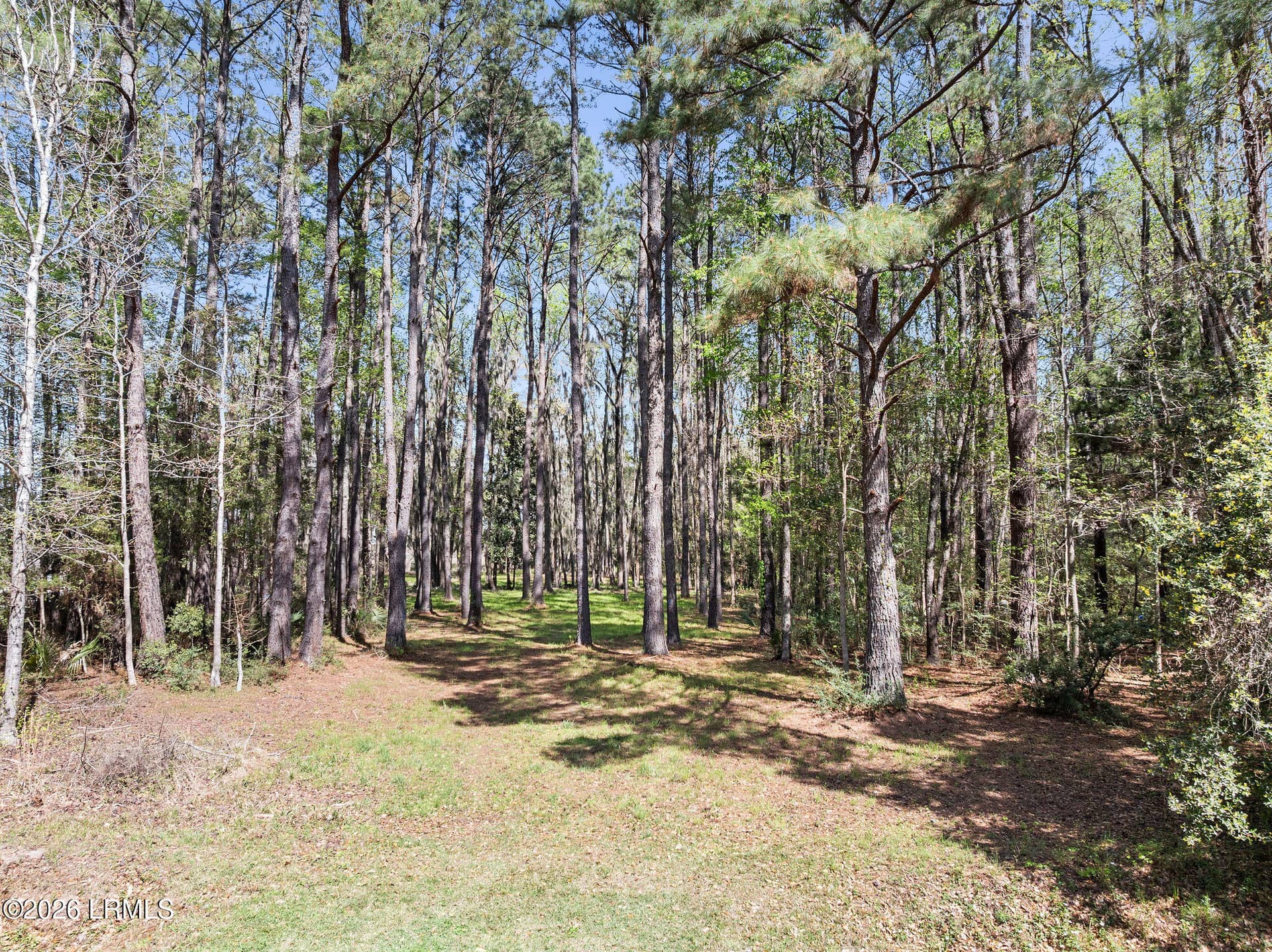 3 Broadview Drive, Ridgeland, SC 29936 — photo 18 of 24