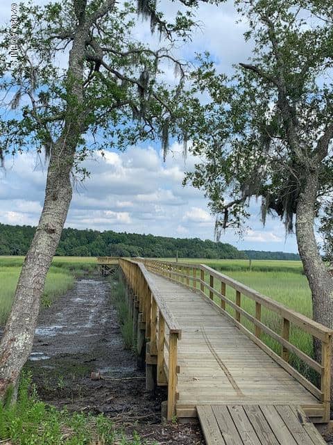497 Founders Oak Way, Yemassee, SC 29945 — photo 10 of 28