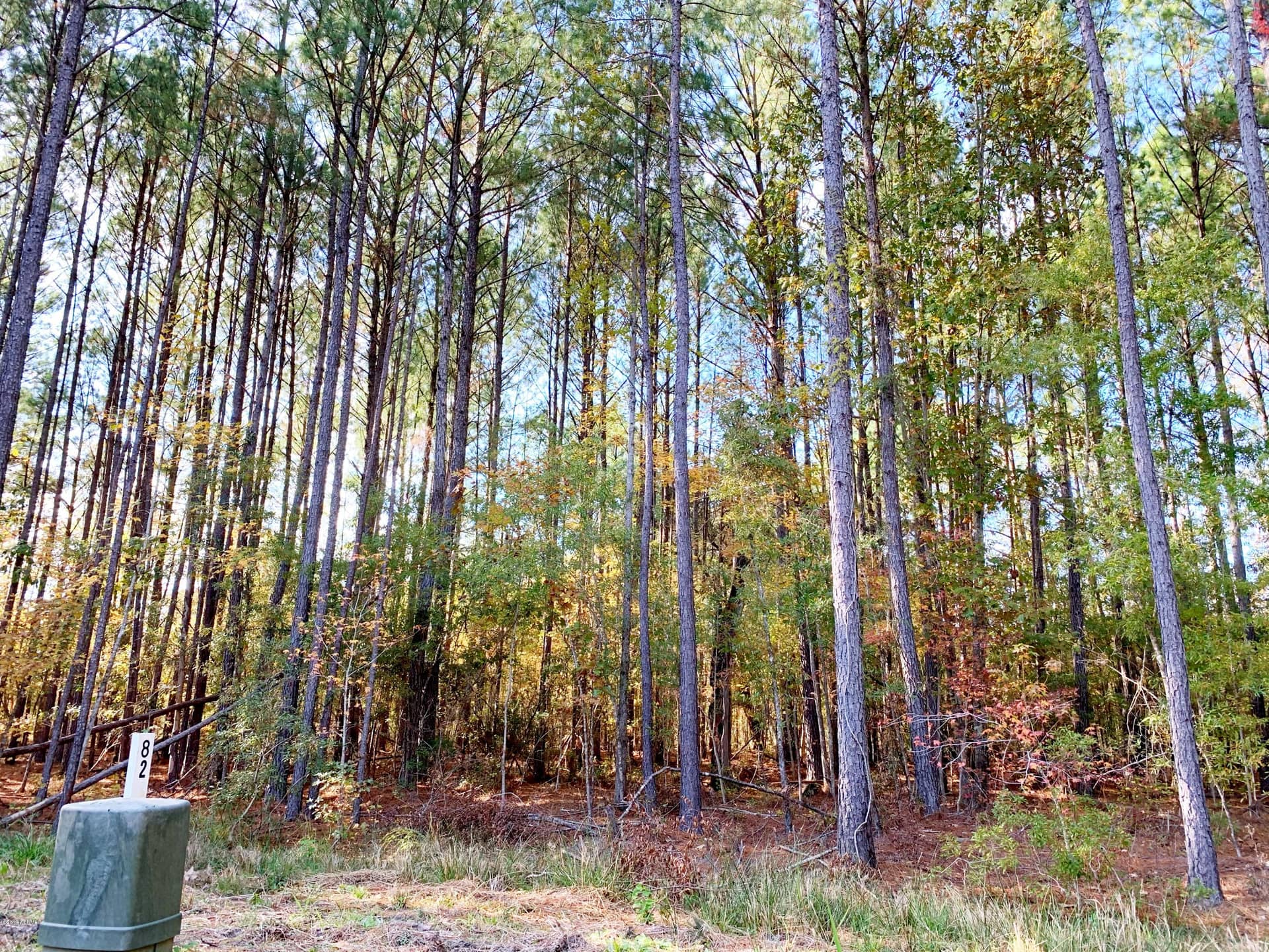 559 Chicora Lane, Yemassee, SC 29945 — photo 10 of 27