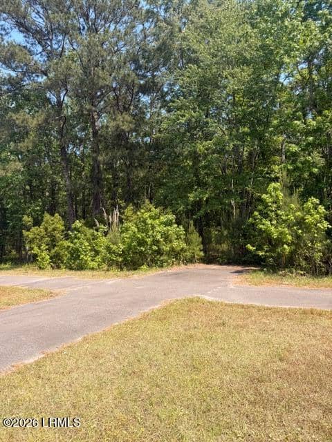 3105 Okatie Highway, Okatie, SC 29909 — photo 4 of 5