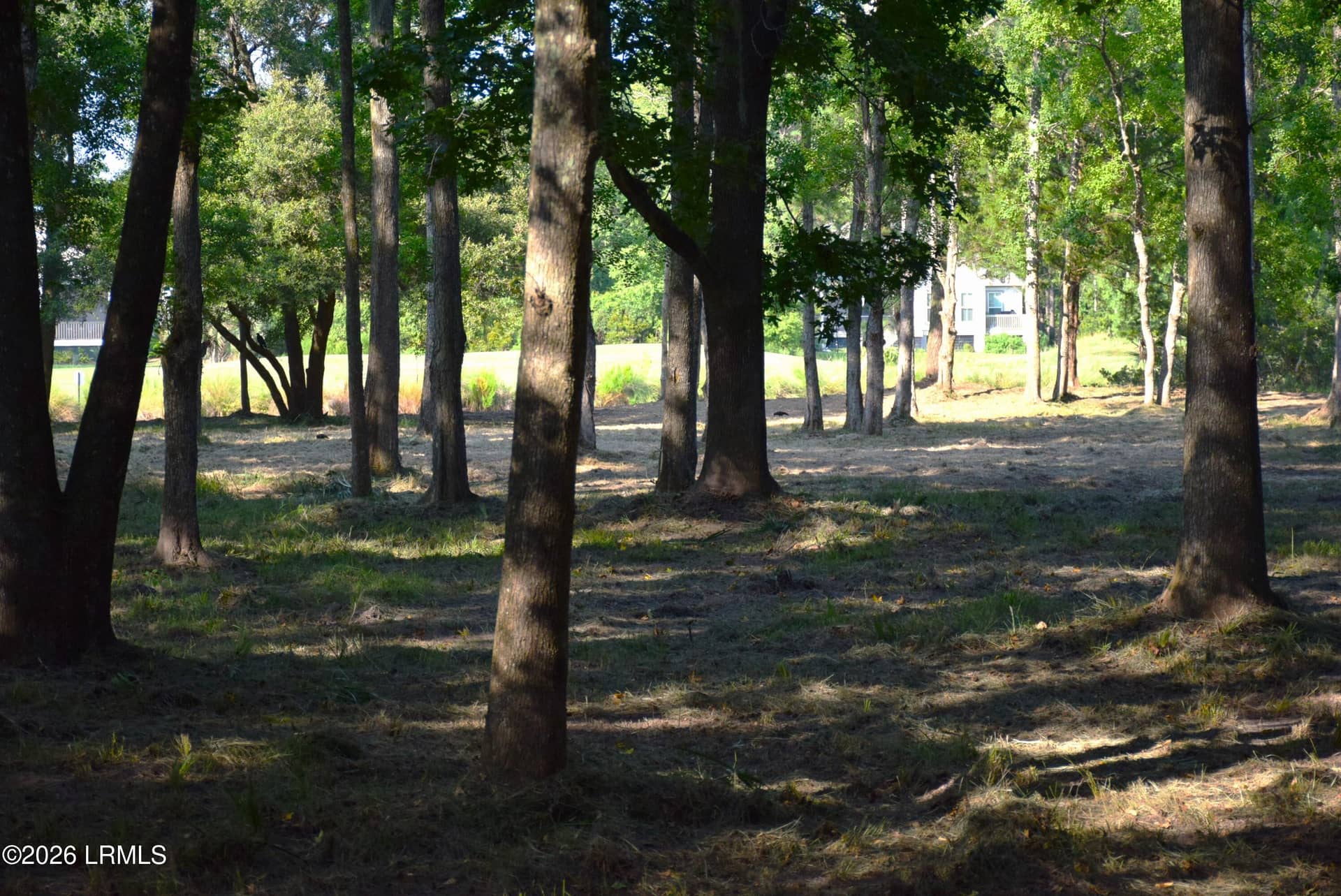 127 Dolphin Point Drive, Beaufort, SC 29907 — photo 8 of 22