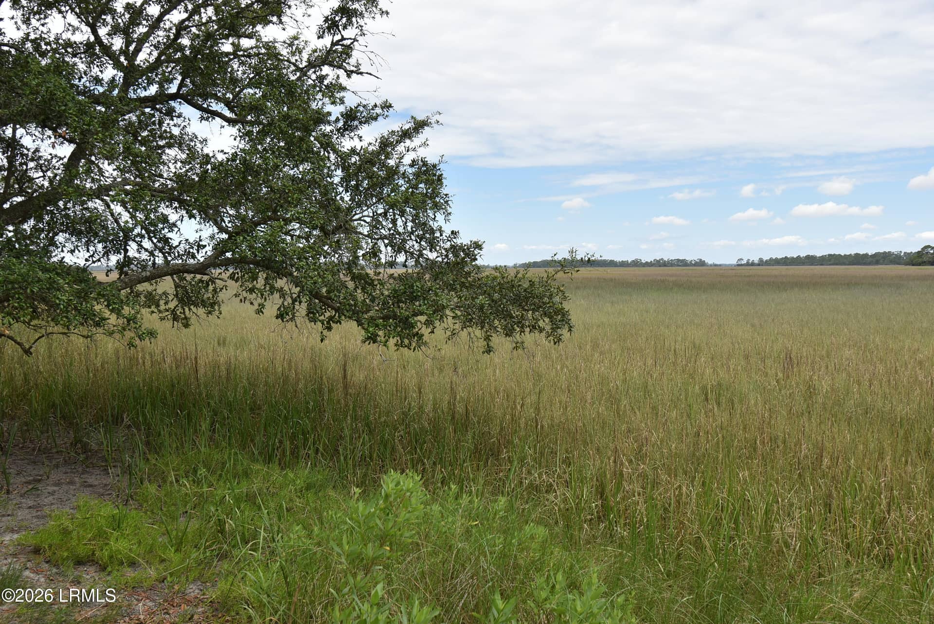 833 Marsh Dunes Road, Fripp Island, SC 29920 — photo 4 of 20