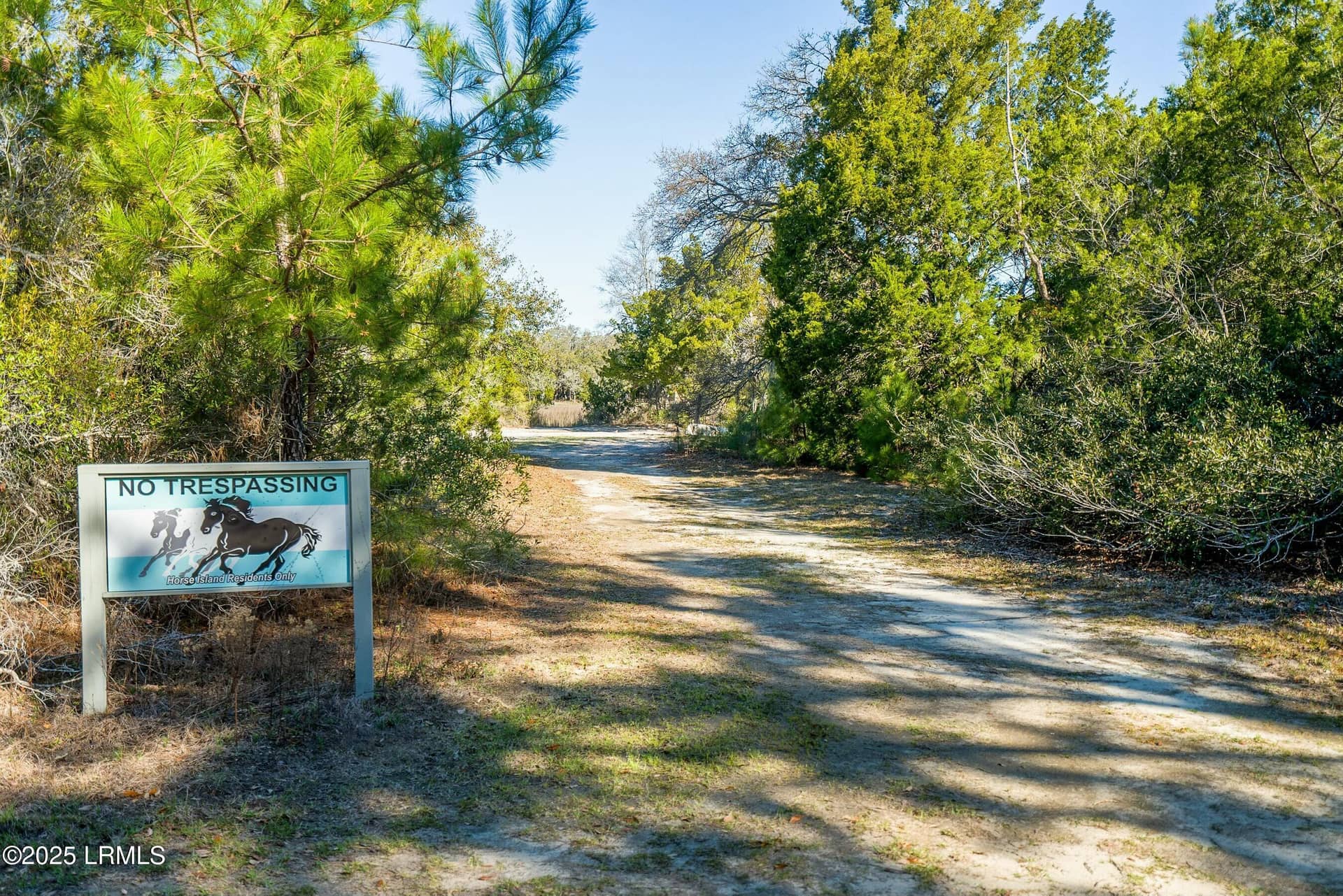 51 Harbor River Circle, St. Helena Island, SC 29920 — photo 5 of 40