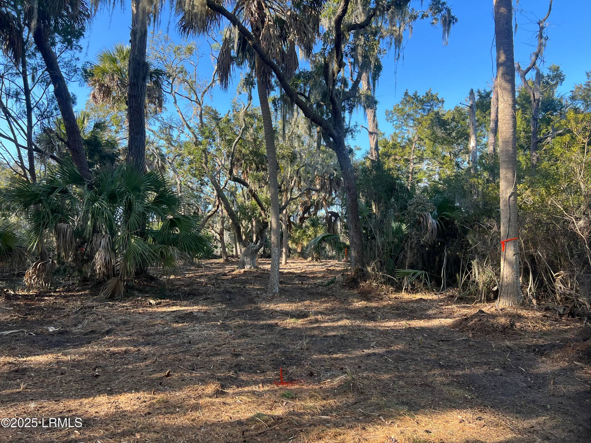 51 Harbor River Circle, St. Helena Island, SC 29920 — photo 16 of 40