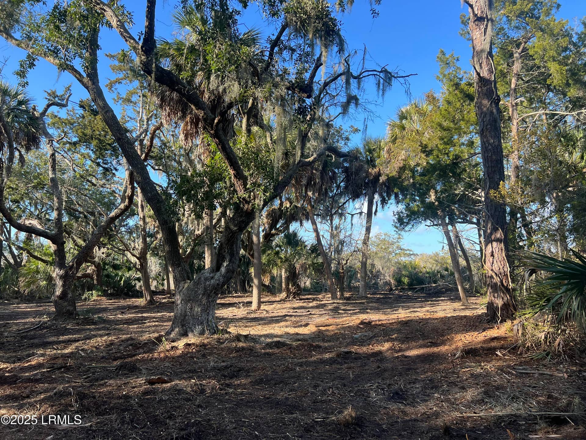 51 Harbor River Circle, St. Helena Island, SC 29920 — photo 18 of 40