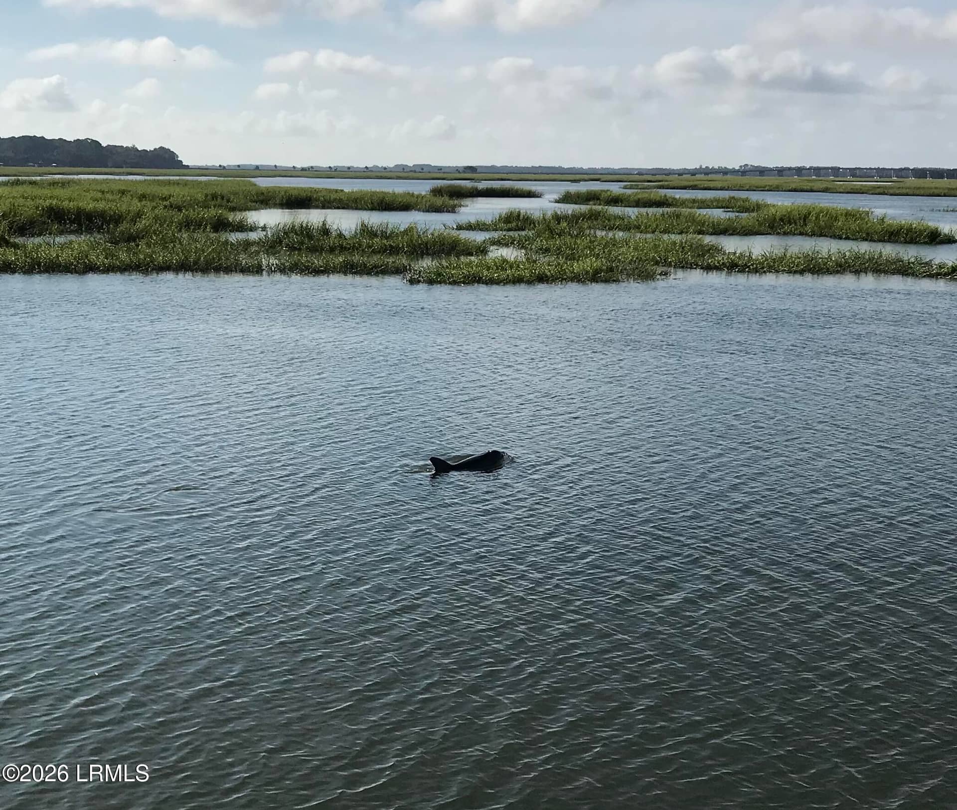 305 De La Gaye Point, Beaufort, SC 29902 — photo 19 of 21