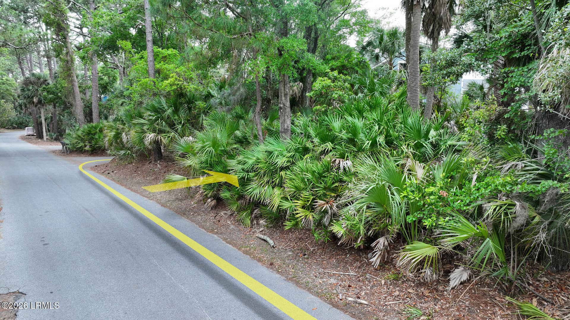 833 Marsh Dunes Road, Fripp Island, SC 29920 — photo 15 of 20