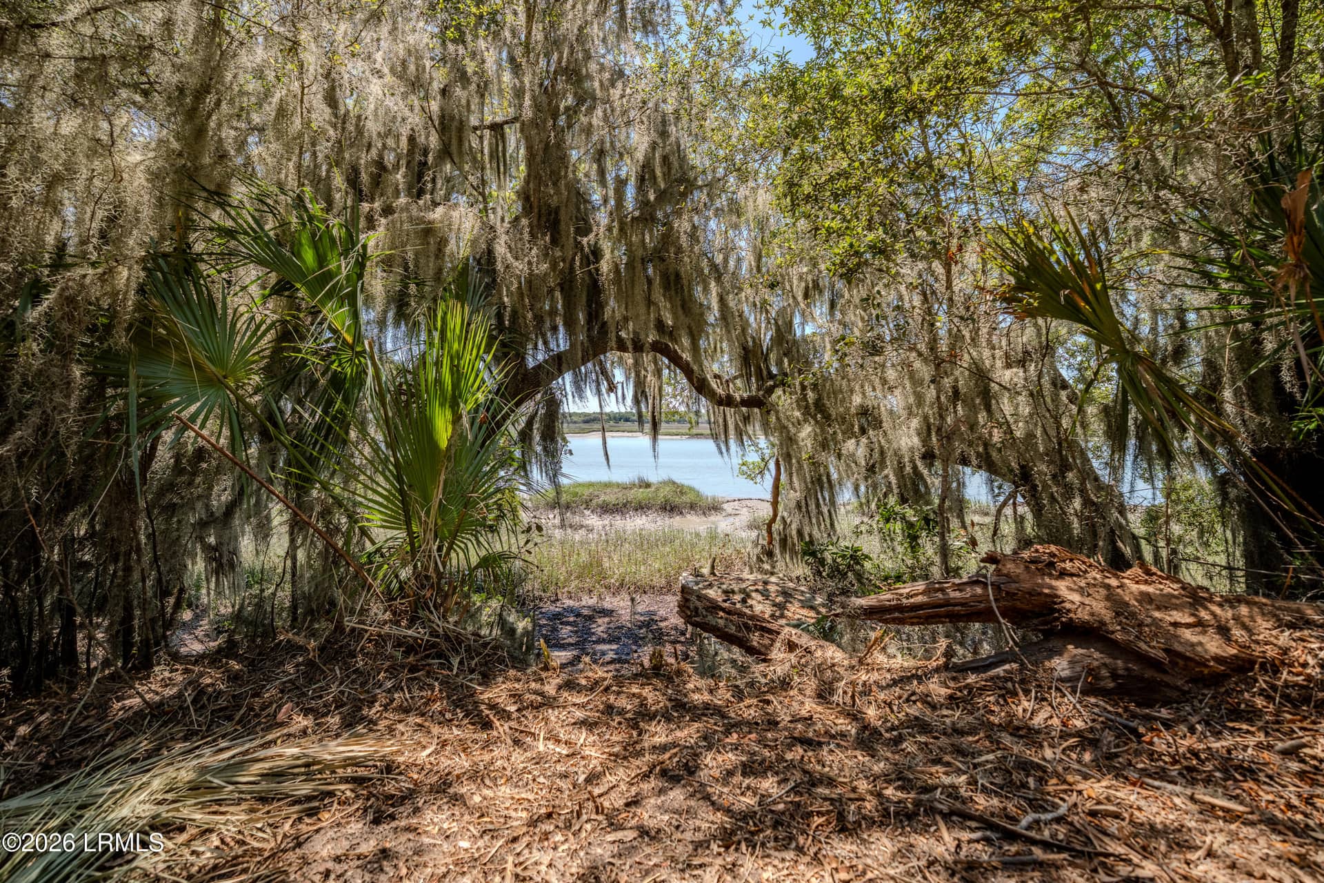 6087 Wallace Landing Retreat, St. Helena Island, SC 29920 — photo 6 of 28