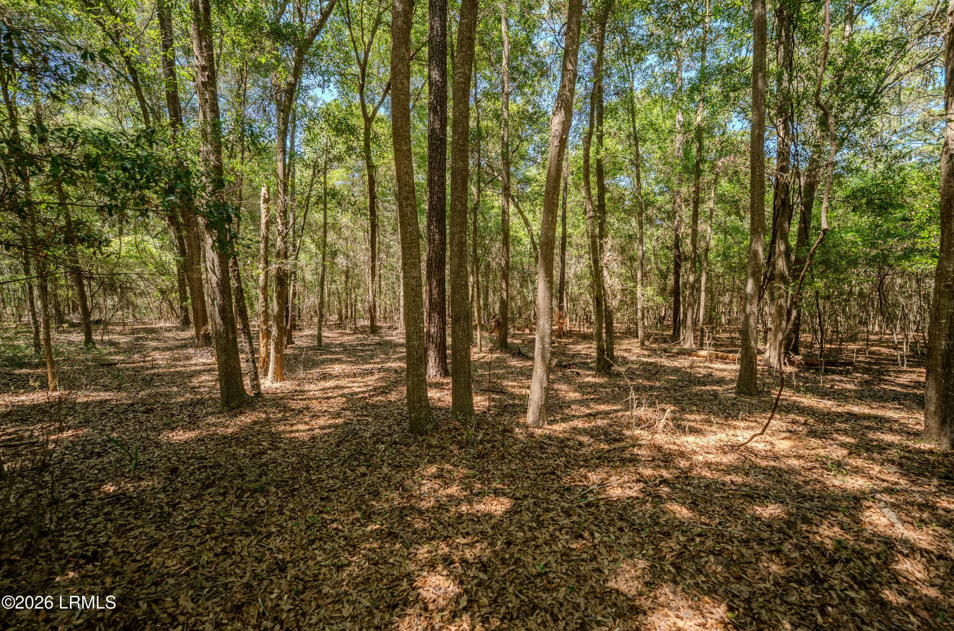 6087 Wallace Landing Retreat, St. Helena Island, SC 29920 — photo 26 of 28