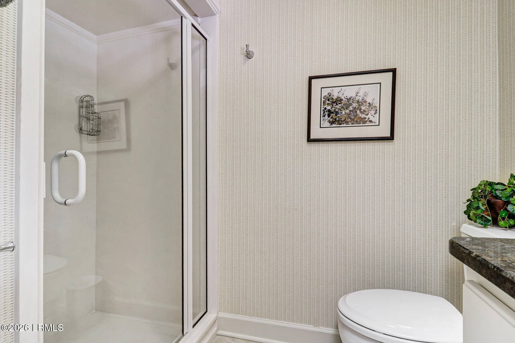 6 Davant Court, Hilton Head Island, SC 29928 — photo 56 of 57