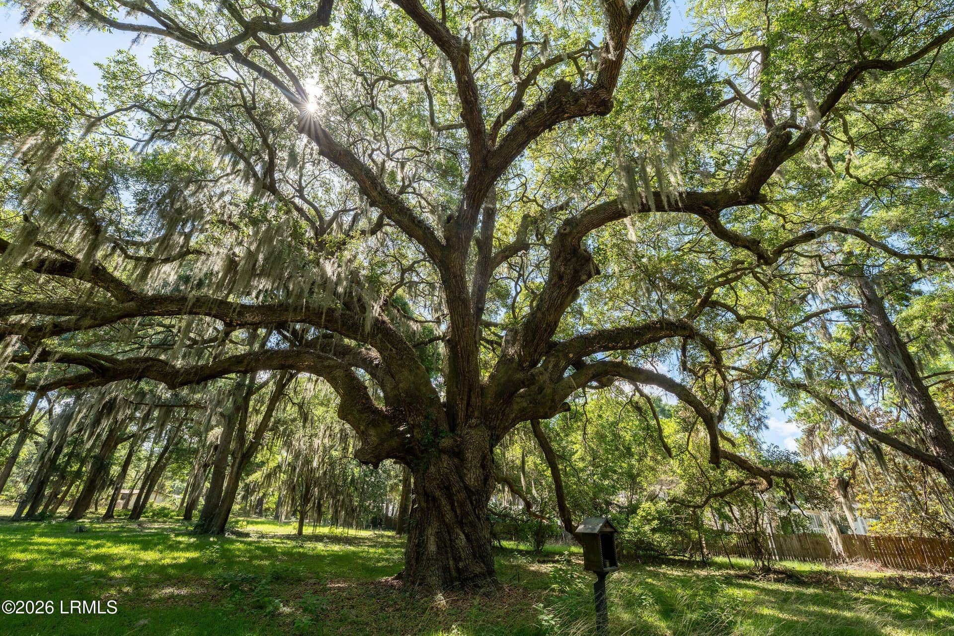 99 Meridian Road, Beaufort, SC 29907 — photo 18 of 19