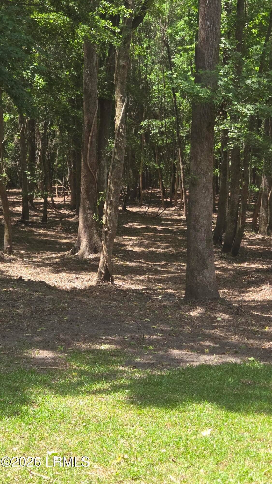 976 Sams Point Road, Beaufort, SC 29907 — photo 54 of 63