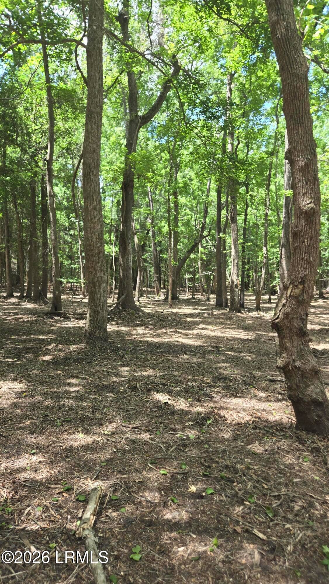976 Sams Point Road, Beaufort, SC 29907 — photo 55 of 63