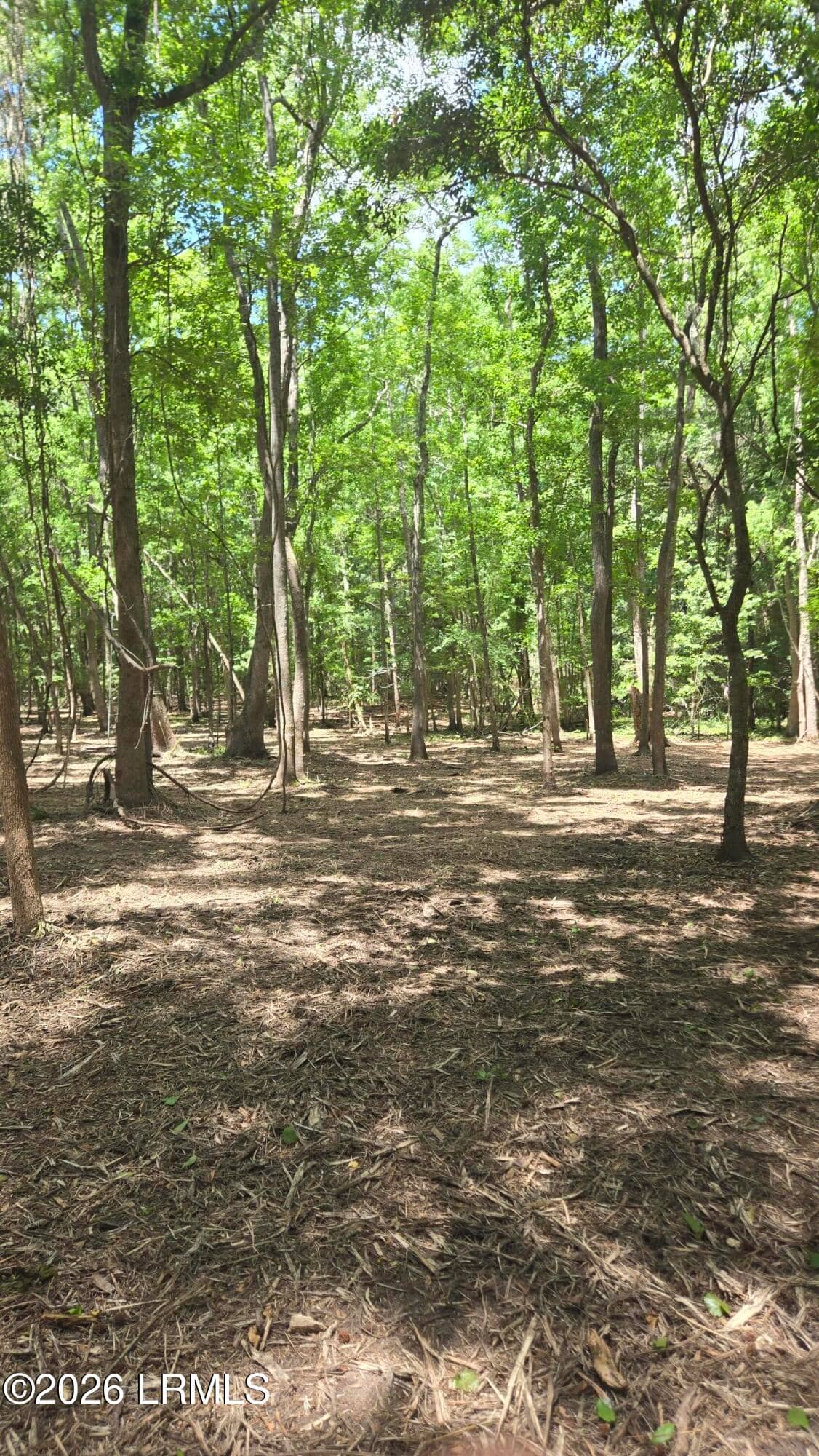 976 Sams Point Road, Beaufort, SC 29907 — photo 56 of 63