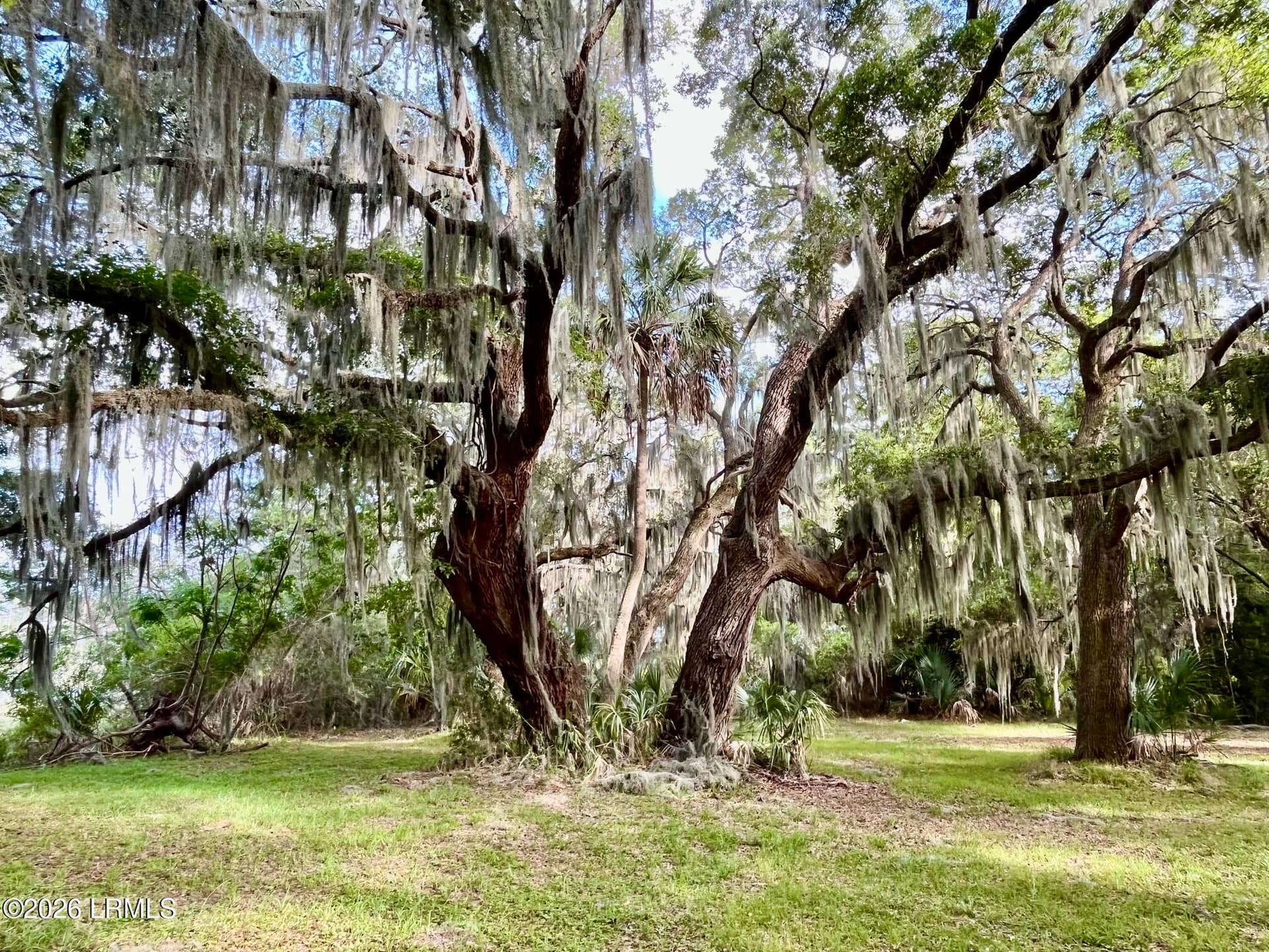 Tbd Mattis Drive, St. Helena Island, SC 29920 — photo 3 of 12