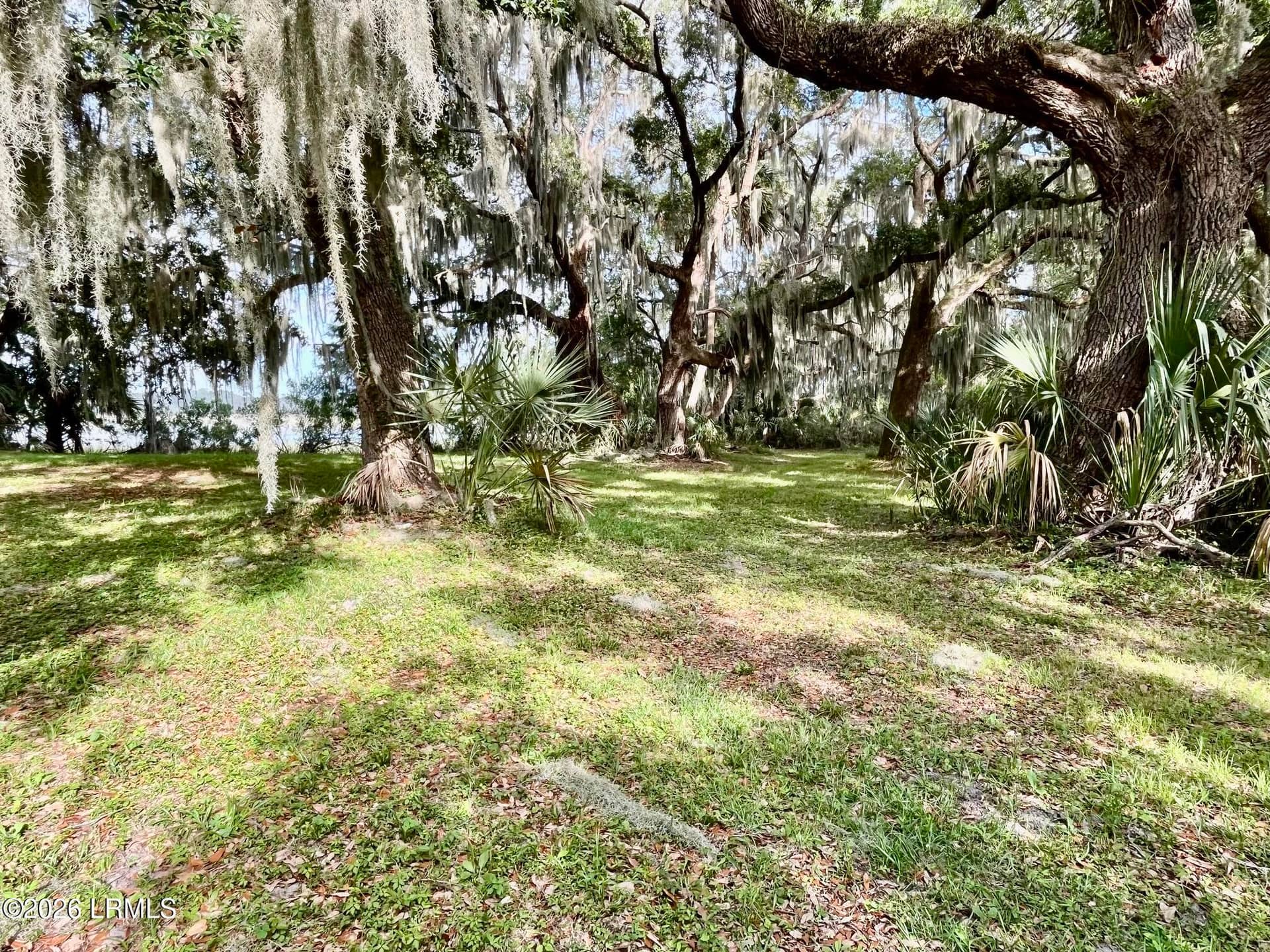 Tbd Mattis Drive, St. Helena Island, SC 29920 — photo 5 of 12
