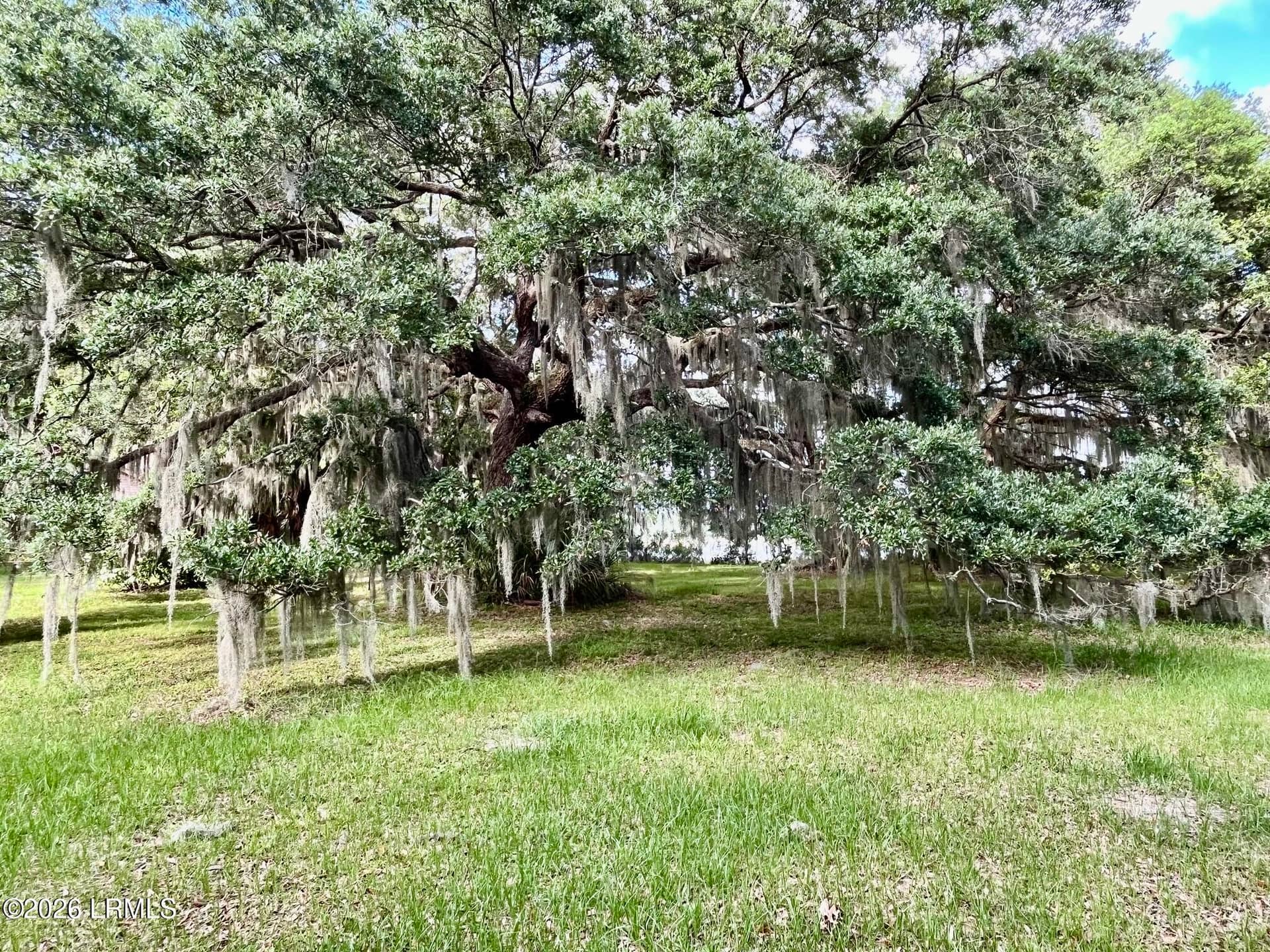 Tbd Mattis Drive, St. Helena Island, SC 29920 — photo 7 of 12