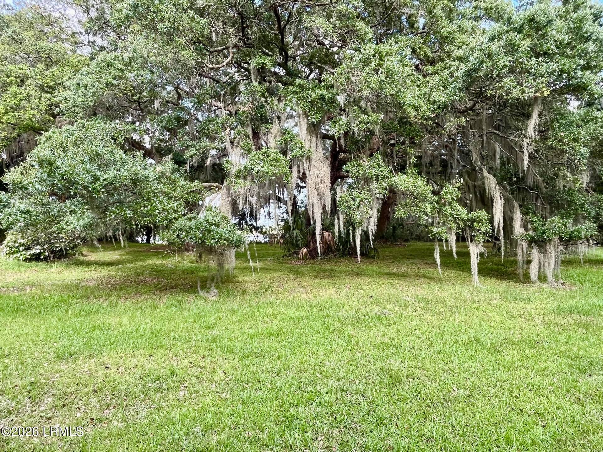 Tbd Mattis Drive, St. Helena Island, SC 29920 — photo 10 of 12
