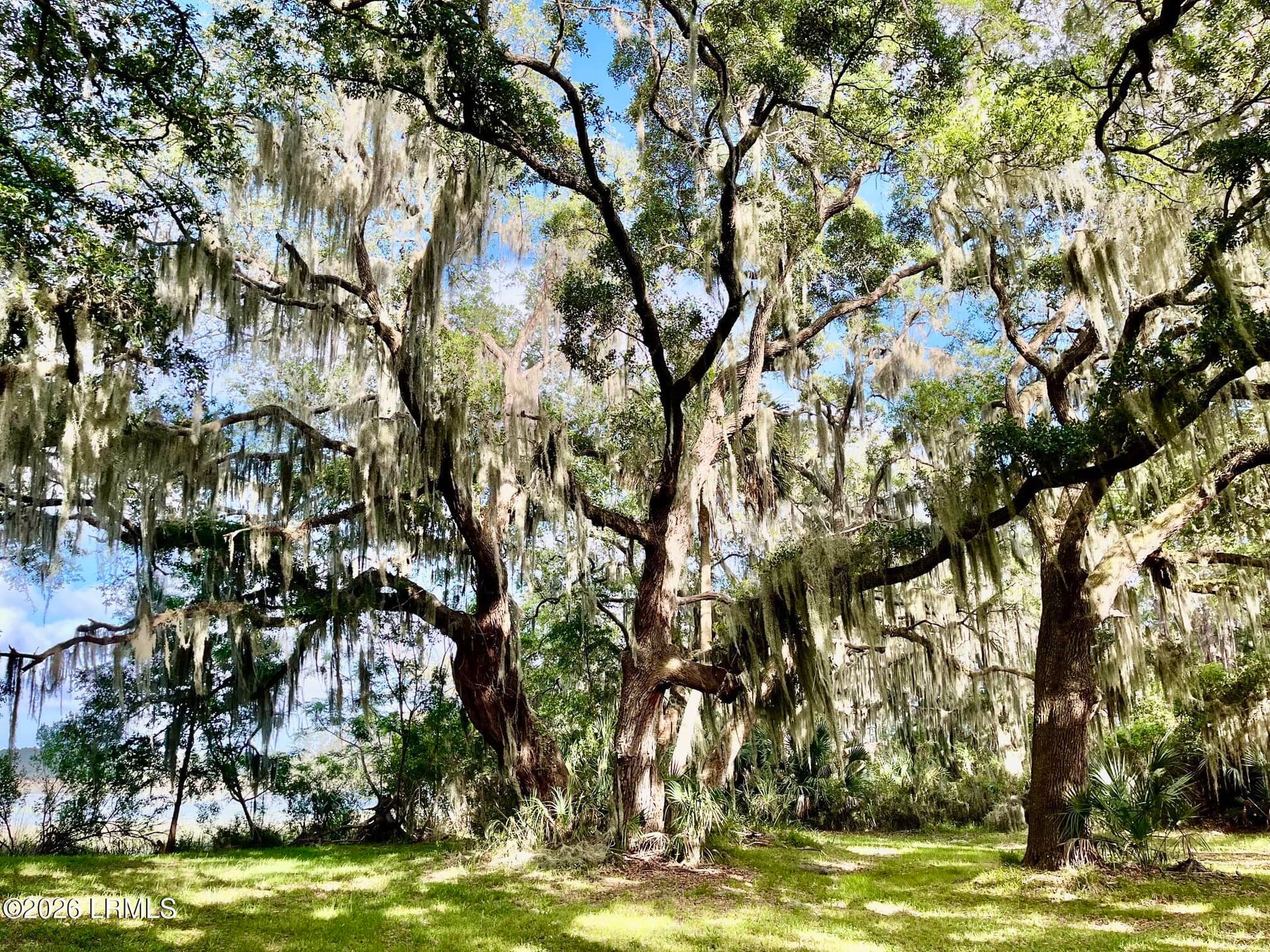 Tbd Mattis Drive, St. Helena Island, SC 29920 — photo 11 of 12