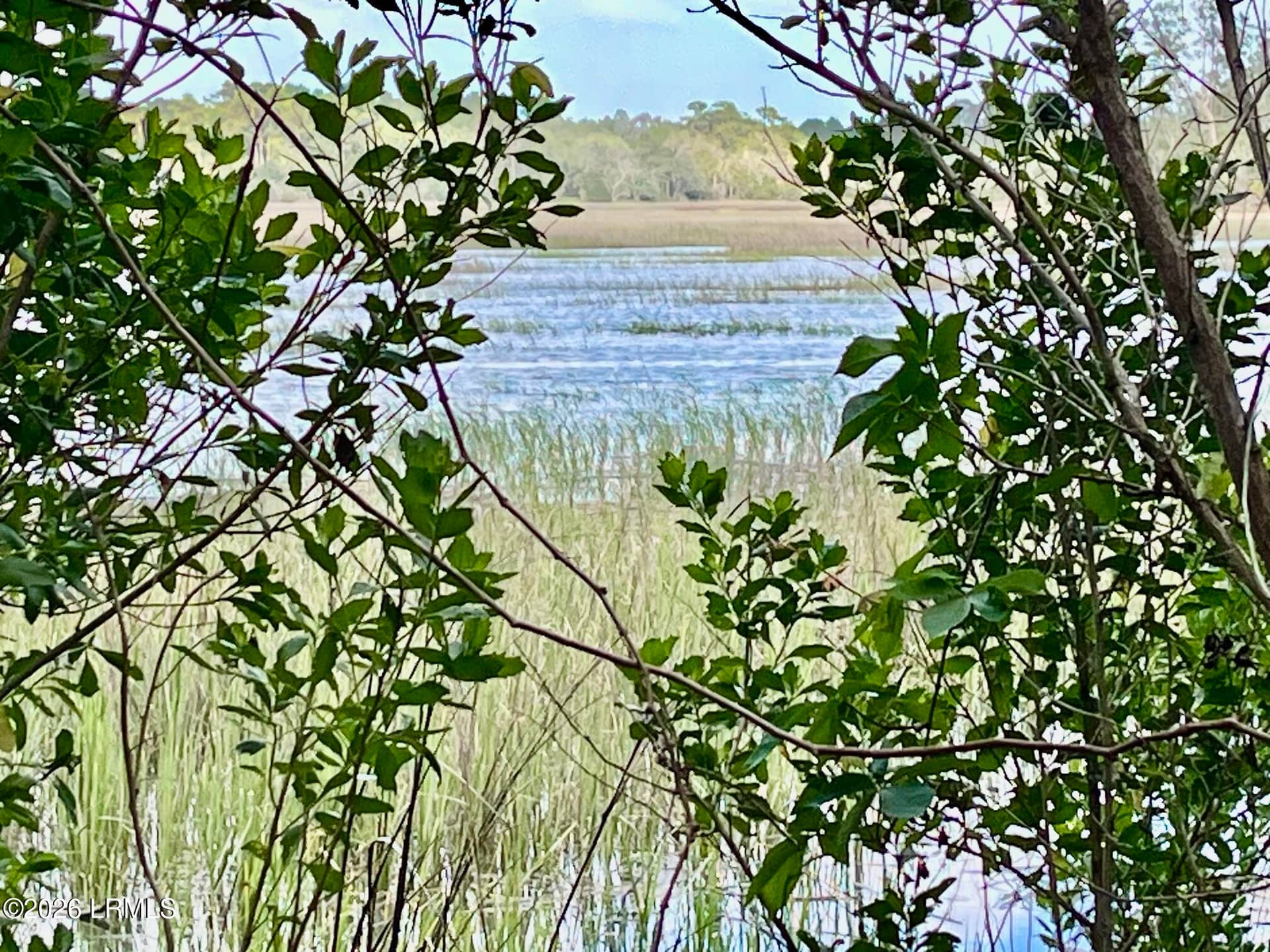 Tbd Mattis Drive, St. Helena Island, SC 29920 — photo 2 of 12