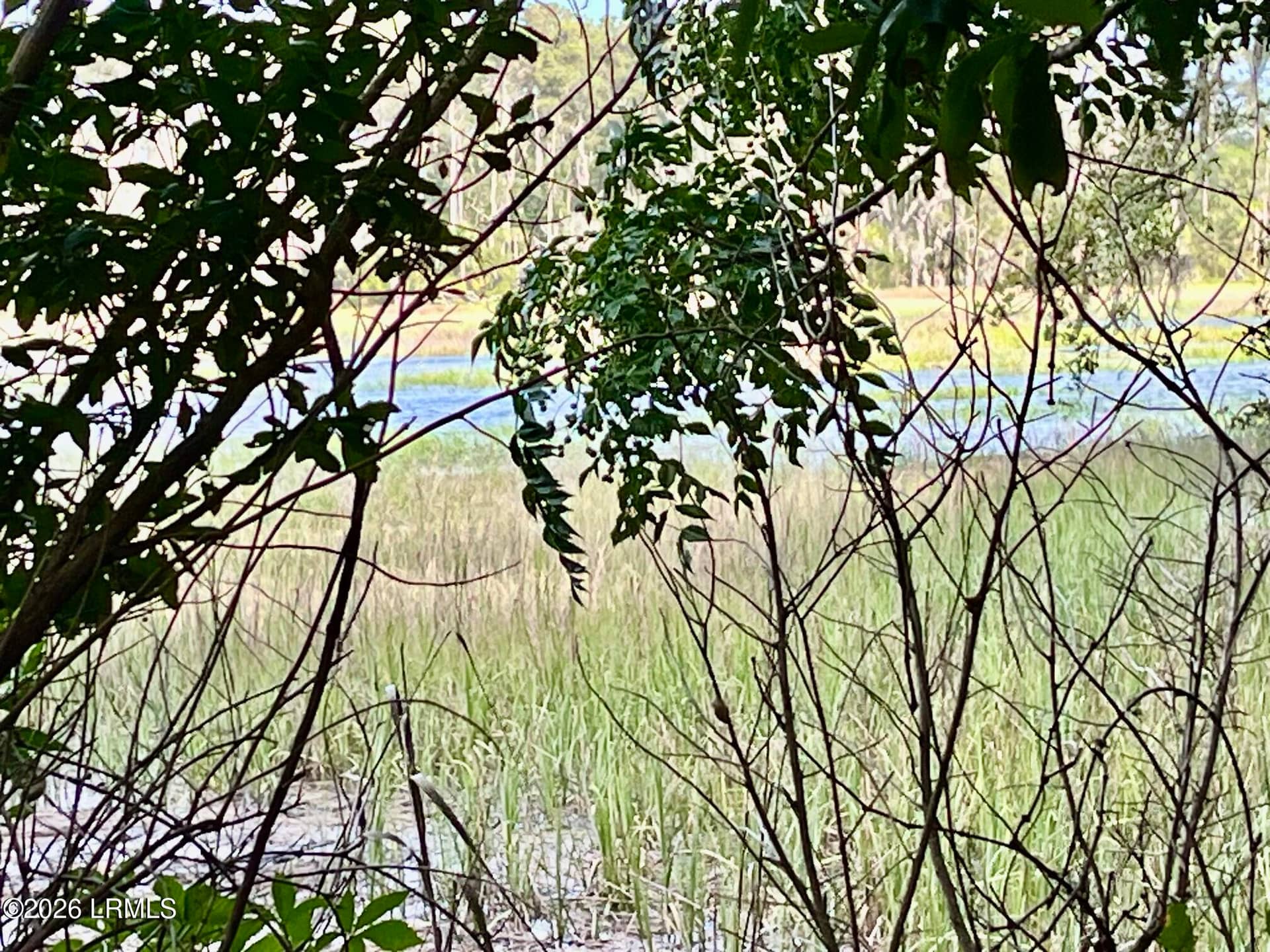 Tbd Mattis Drive, St. Helena Island, SC 29920 — photo 6 of 12