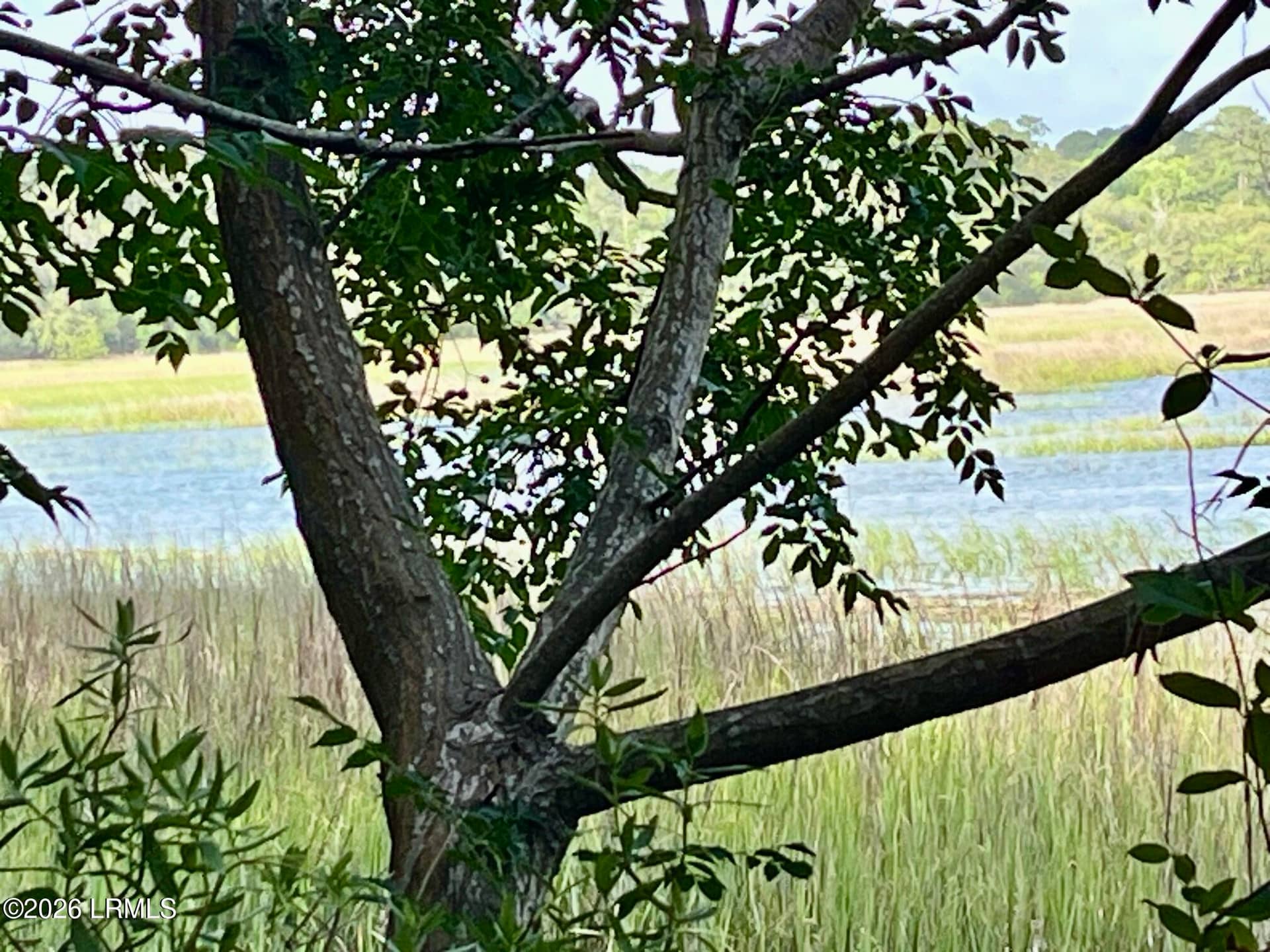 Tbd Mattis Drive, St. Helena Island, SC 29920 — photo 9 of 12