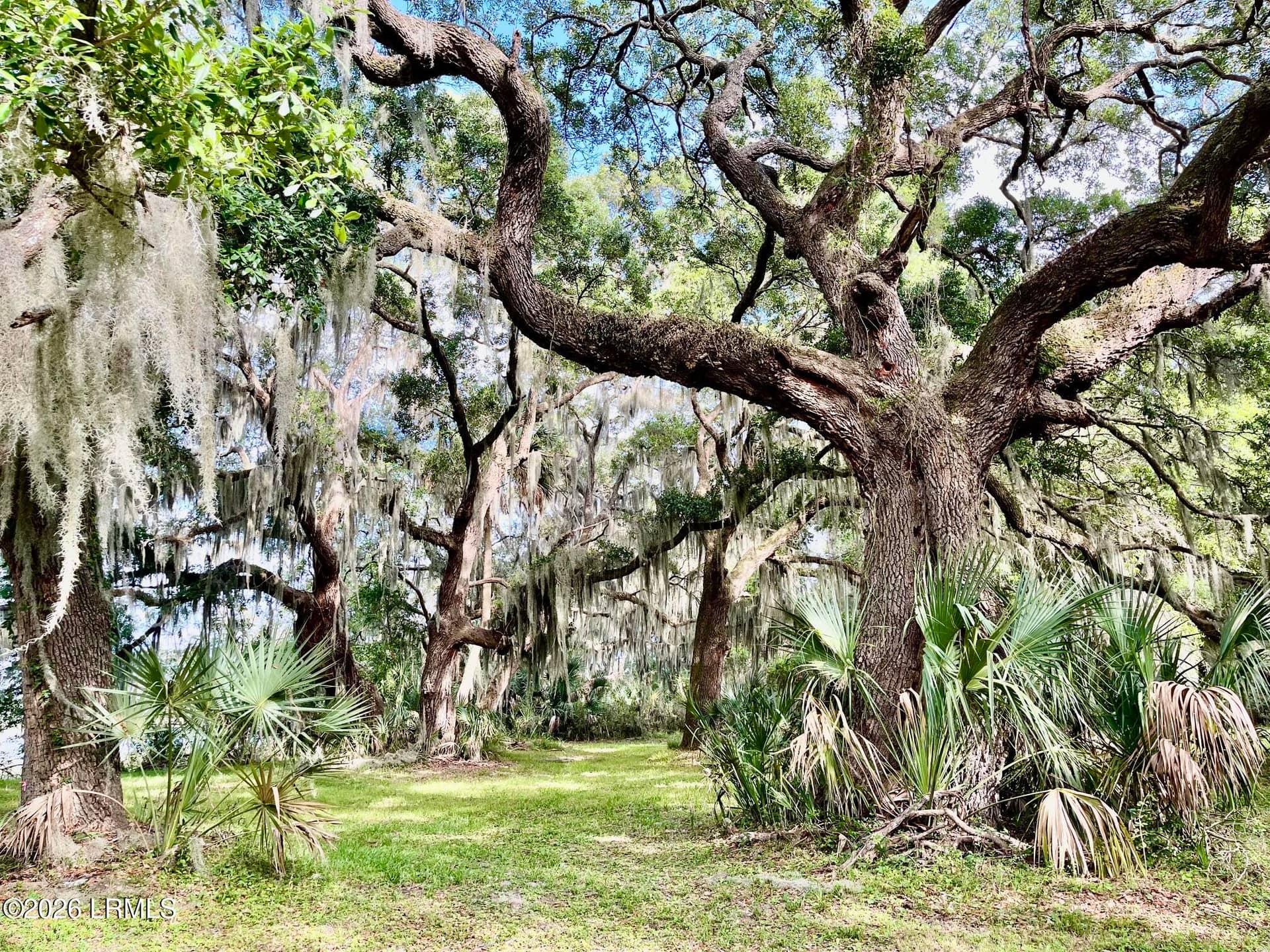 Tbd Mattis Drive, St. Helena Island, SC 29920 — photo 8 of 12