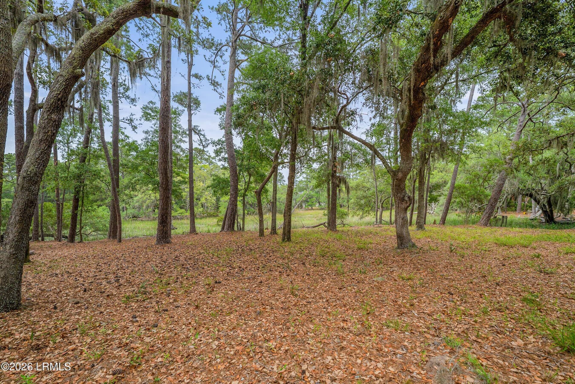 6 Cordgrass Loop, Beaufort, SC 29907 — photo 29 of 50