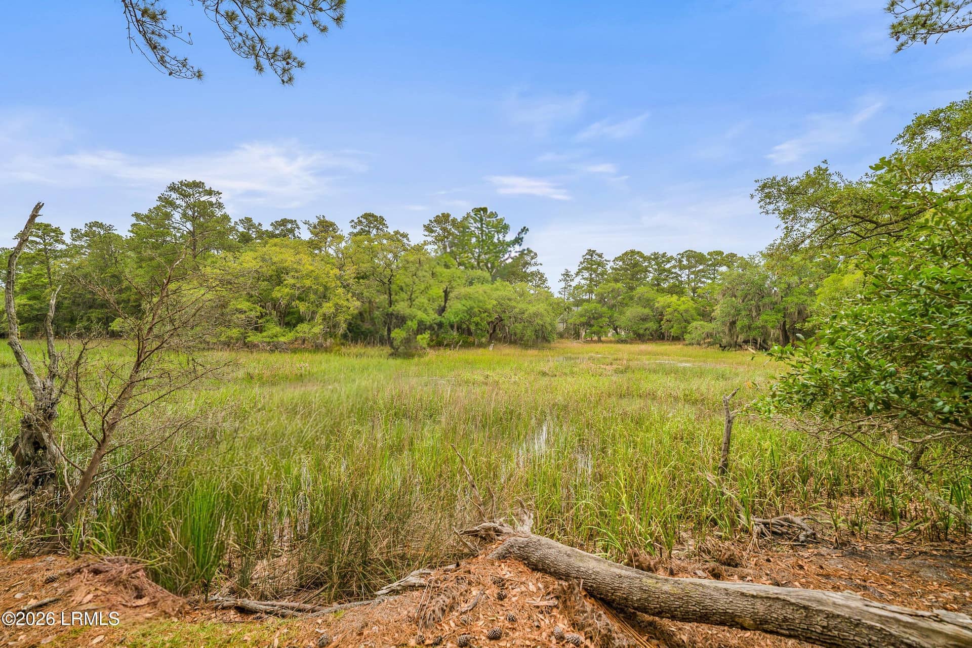 6 Cordgrass Loop, Beaufort, SC 29907 — photo 30 of 50