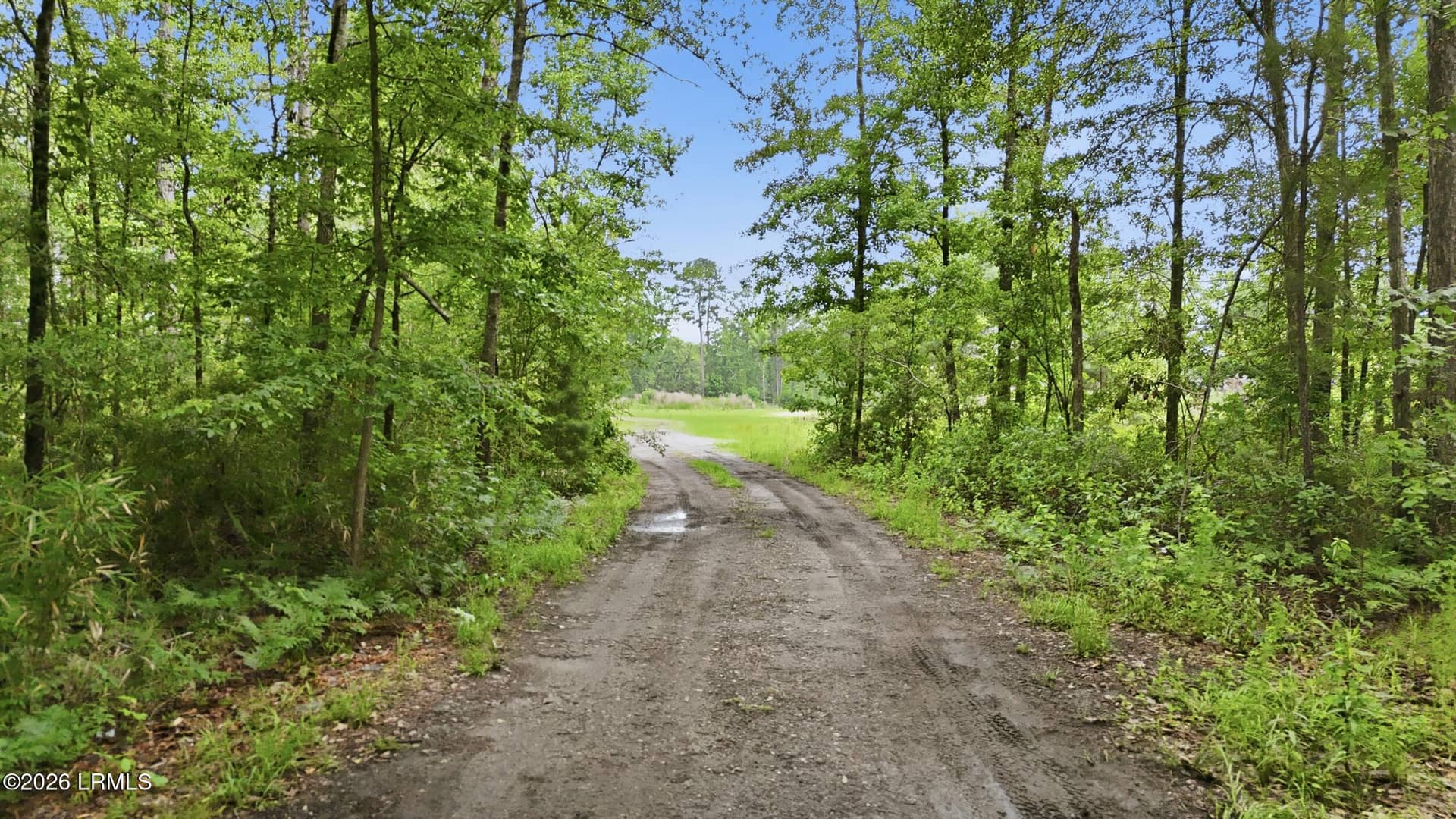 0 State Road S-27-19 0, Ridgeland, SC 29936 — photo 3 of 20