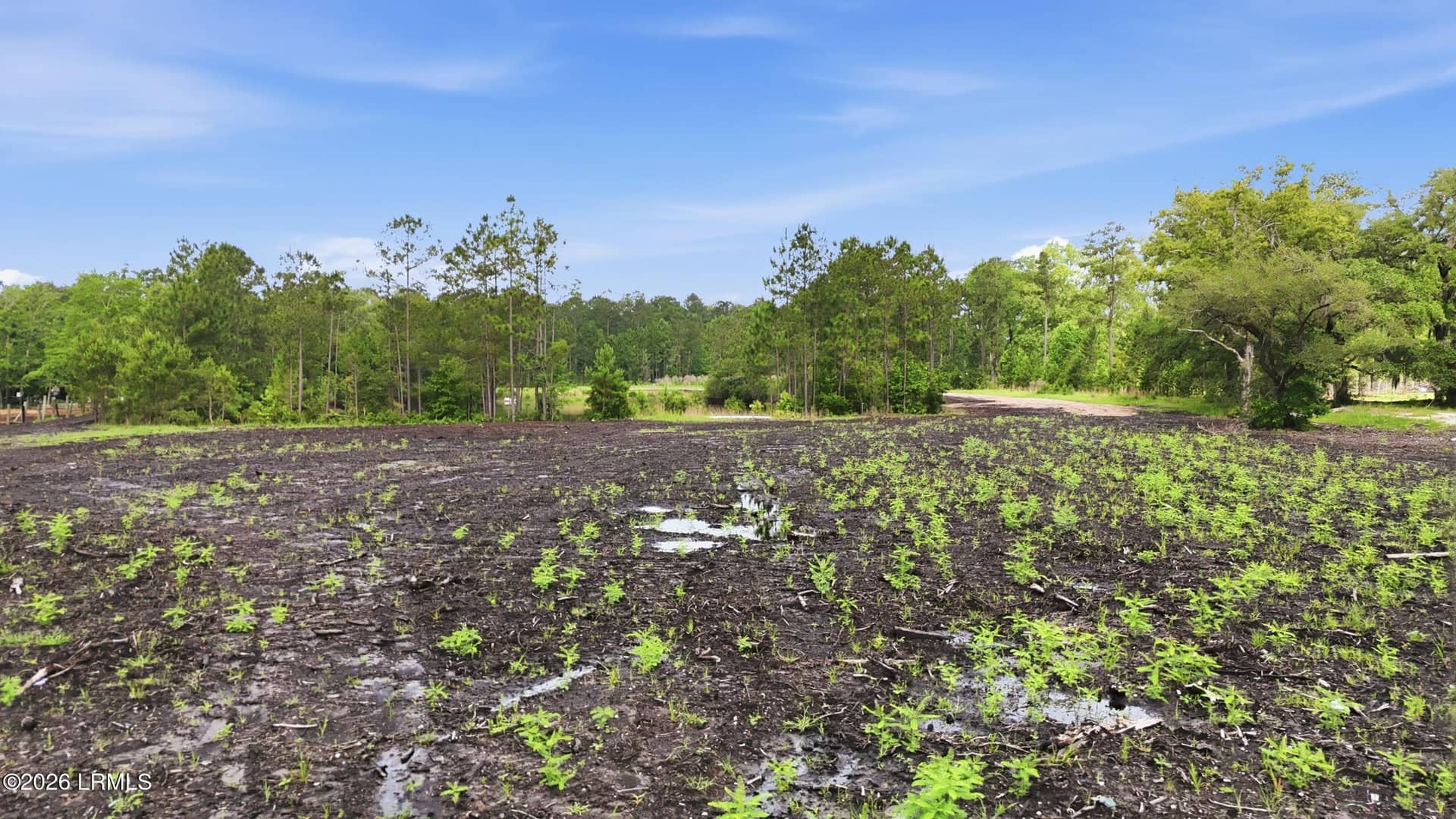 0 State Road S-27-19 0, Ridgeland, SC 29936 — photo 10 of 20