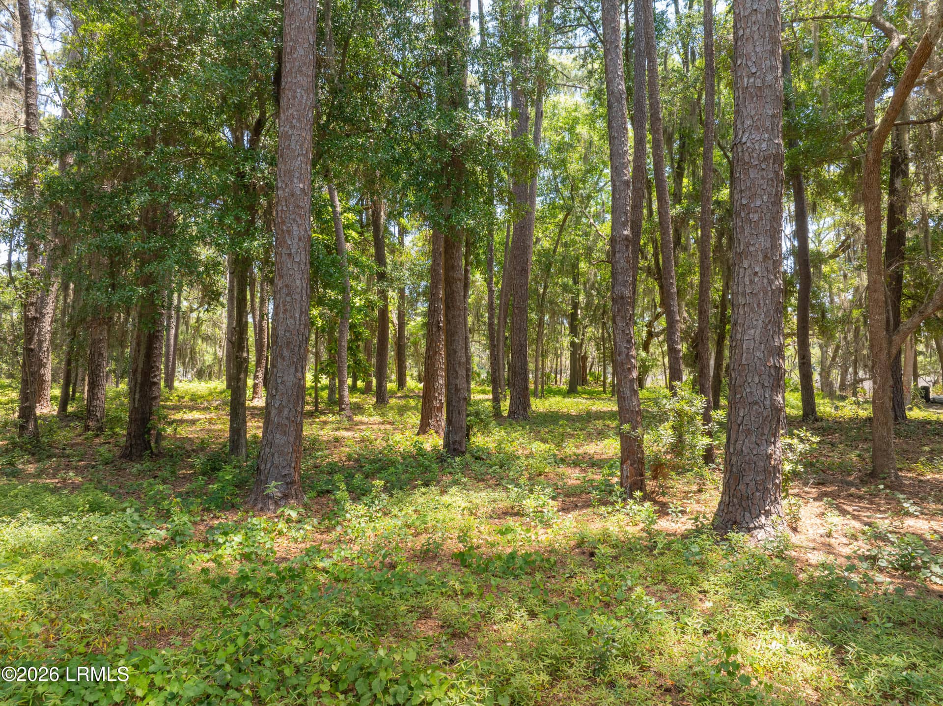73 Bermuda Downs, St. Helena Island, SC 29920 — photo 25 of 66
