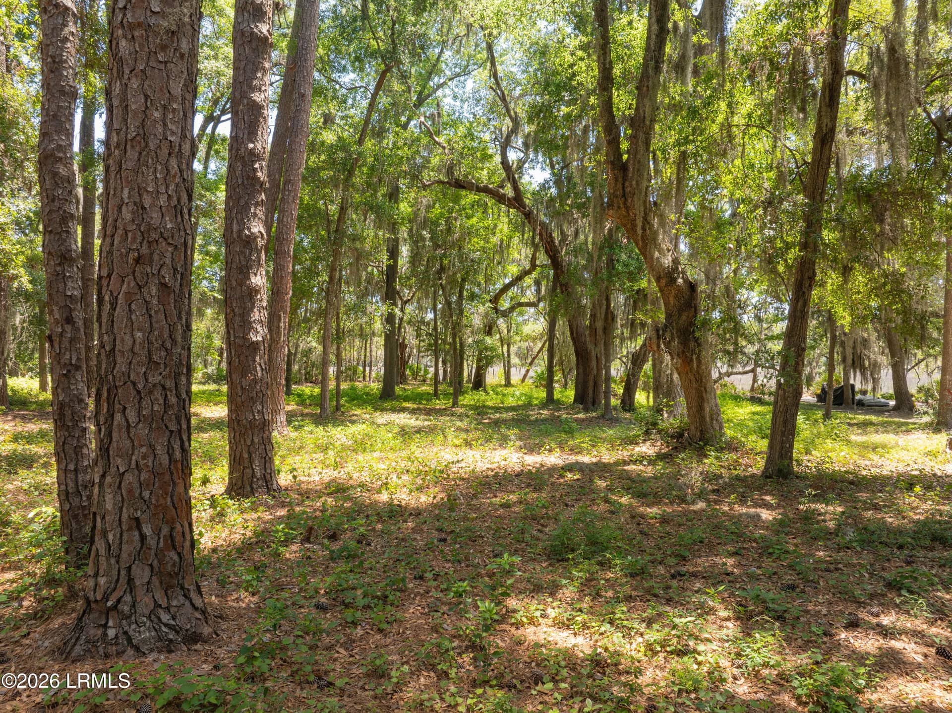 73 Bermuda Downs, St. Helena Island, SC 29920 — photo 26 of 66