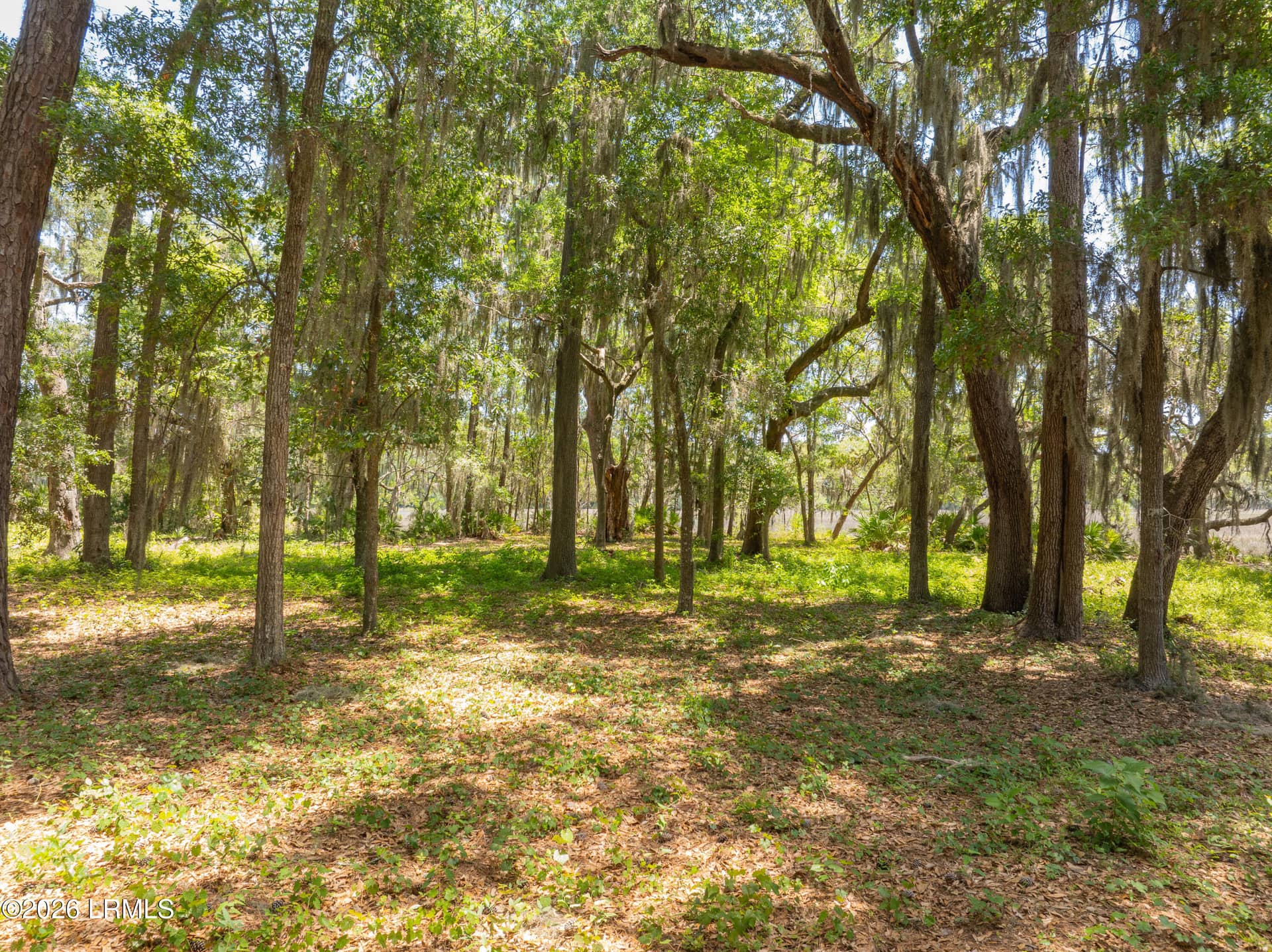 73 Bermuda Downs, St. Helena Island, SC 29920 — photo 27 of 66