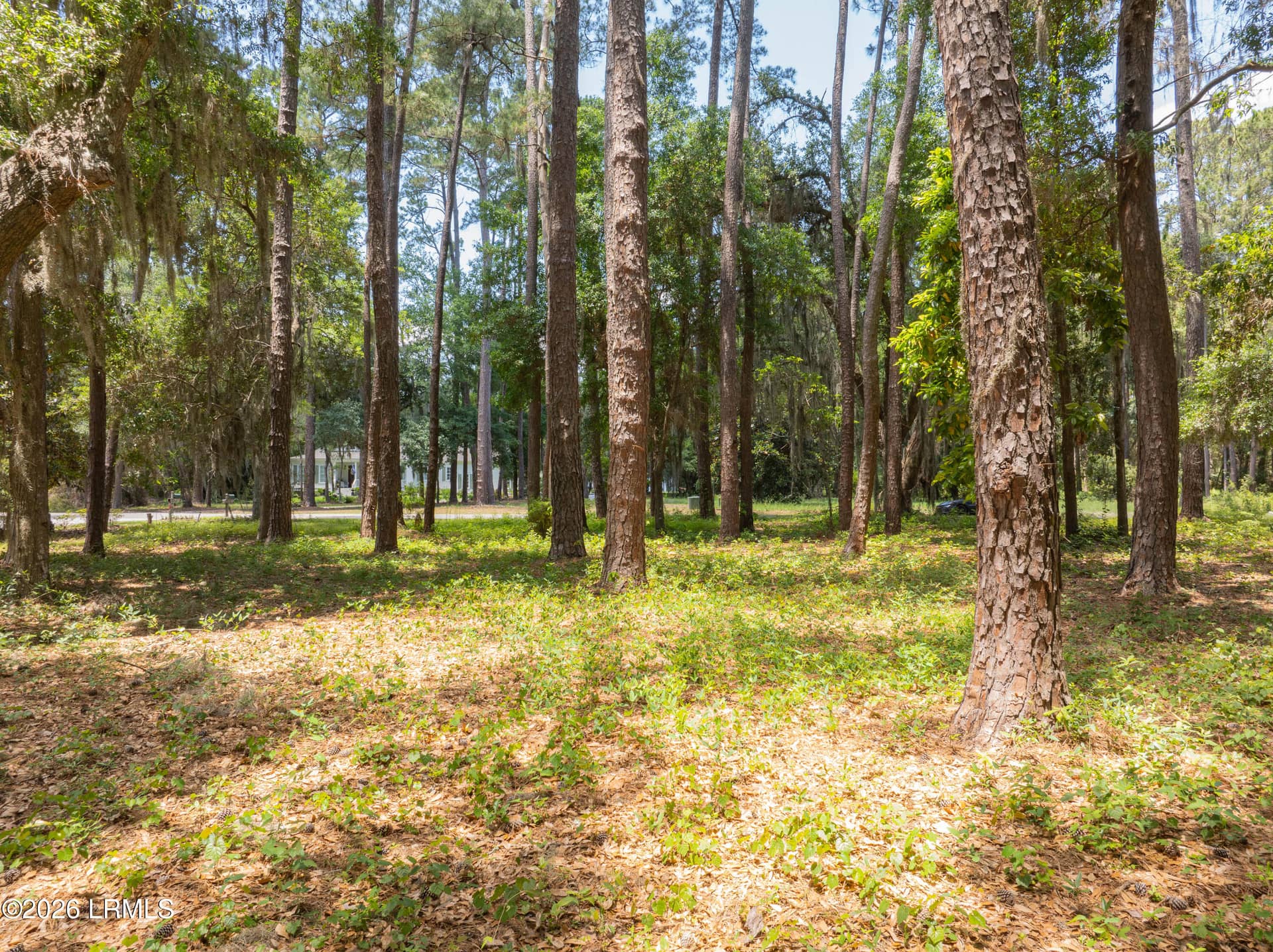 73 Bermuda Downs, St. Helena Island, SC 29920 — photo 30 of 66