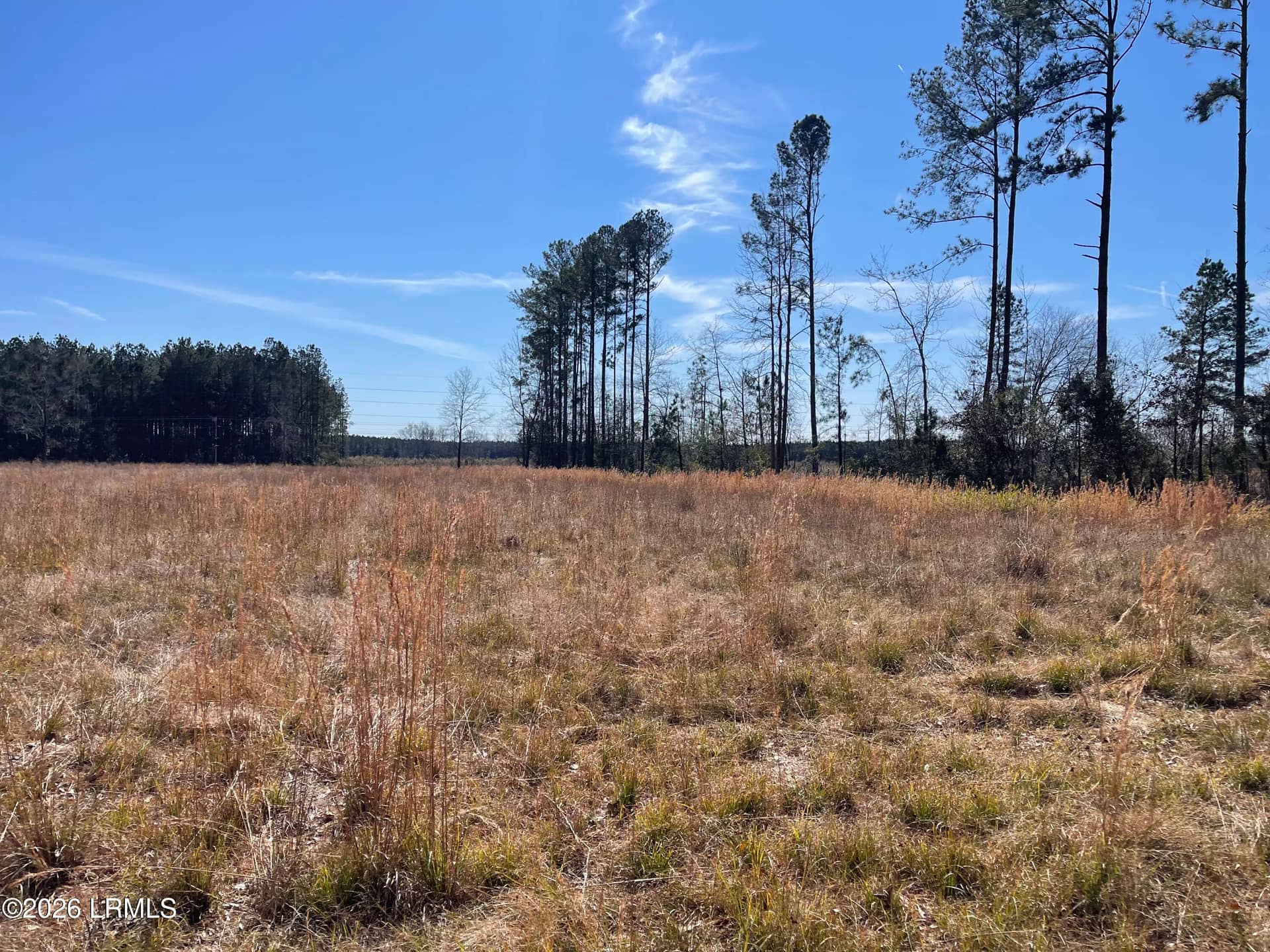 3763 Rice Shire Road, Ridgeland, SC 29936 — photo 5 of 7