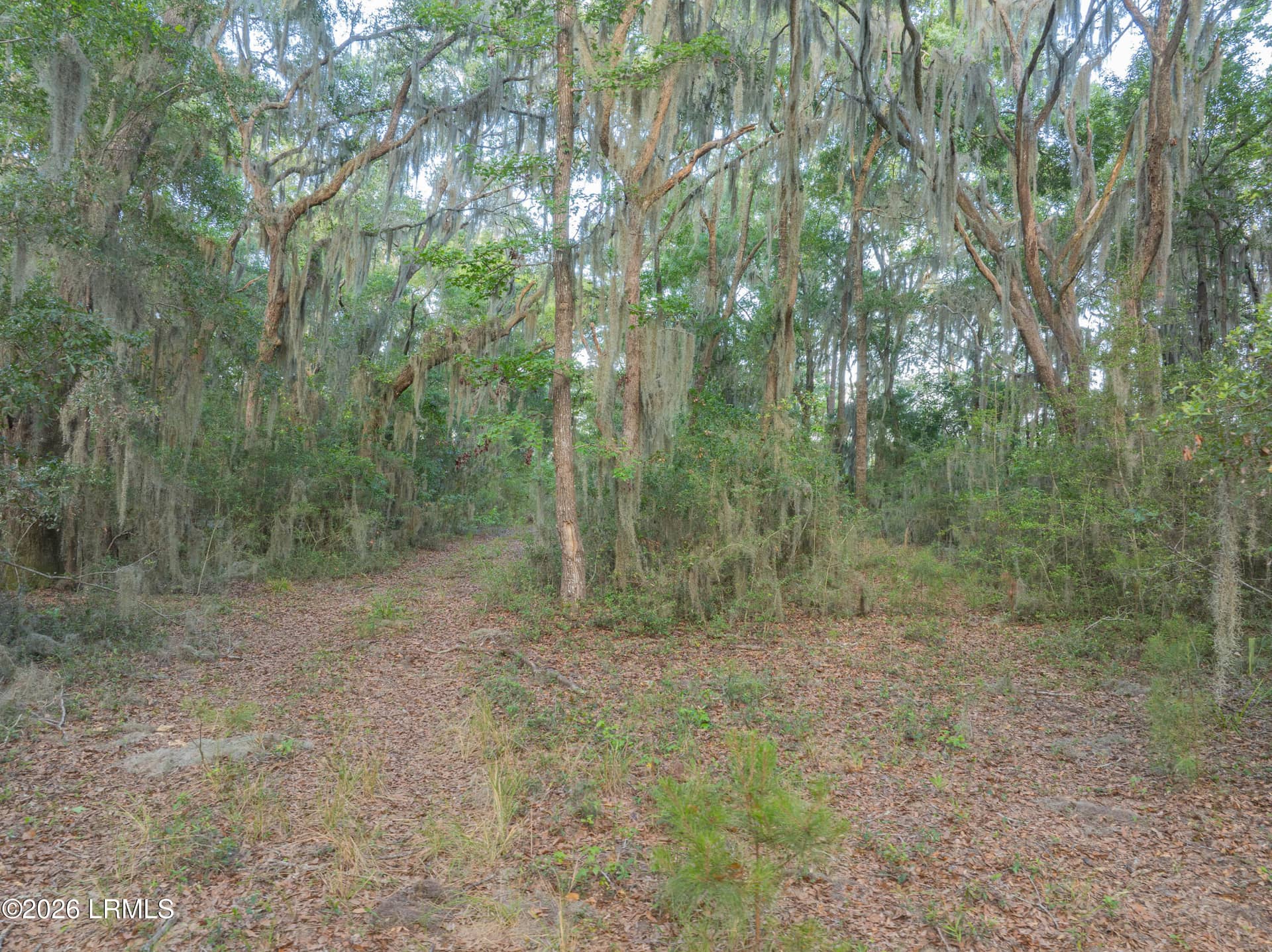 39 Creek House Lane, St. Helena Island, SC 29920 — photo 14 of 22