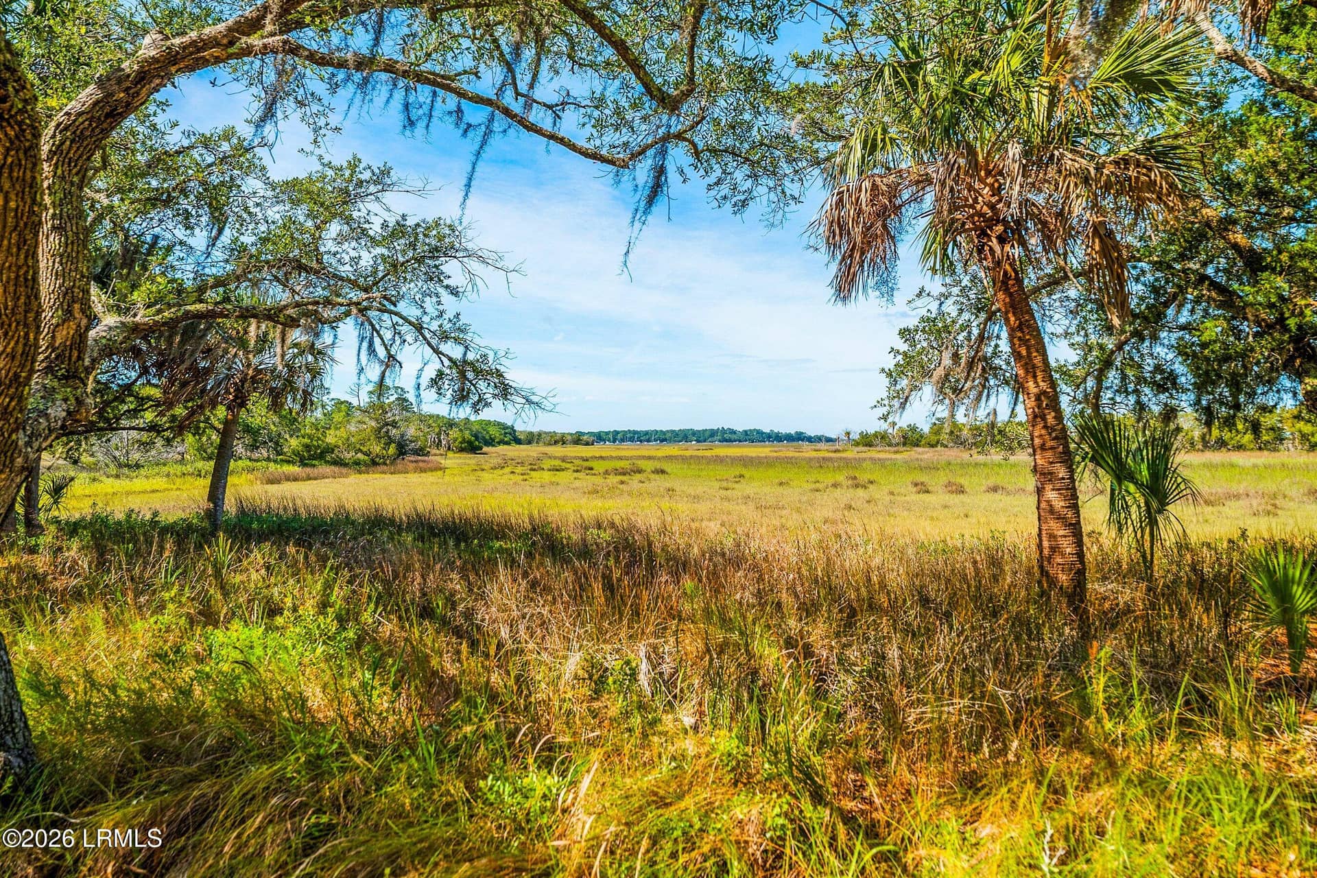 170 Cassena Island Drive, Lady's Island, SC 29907 — photo 34 of 54