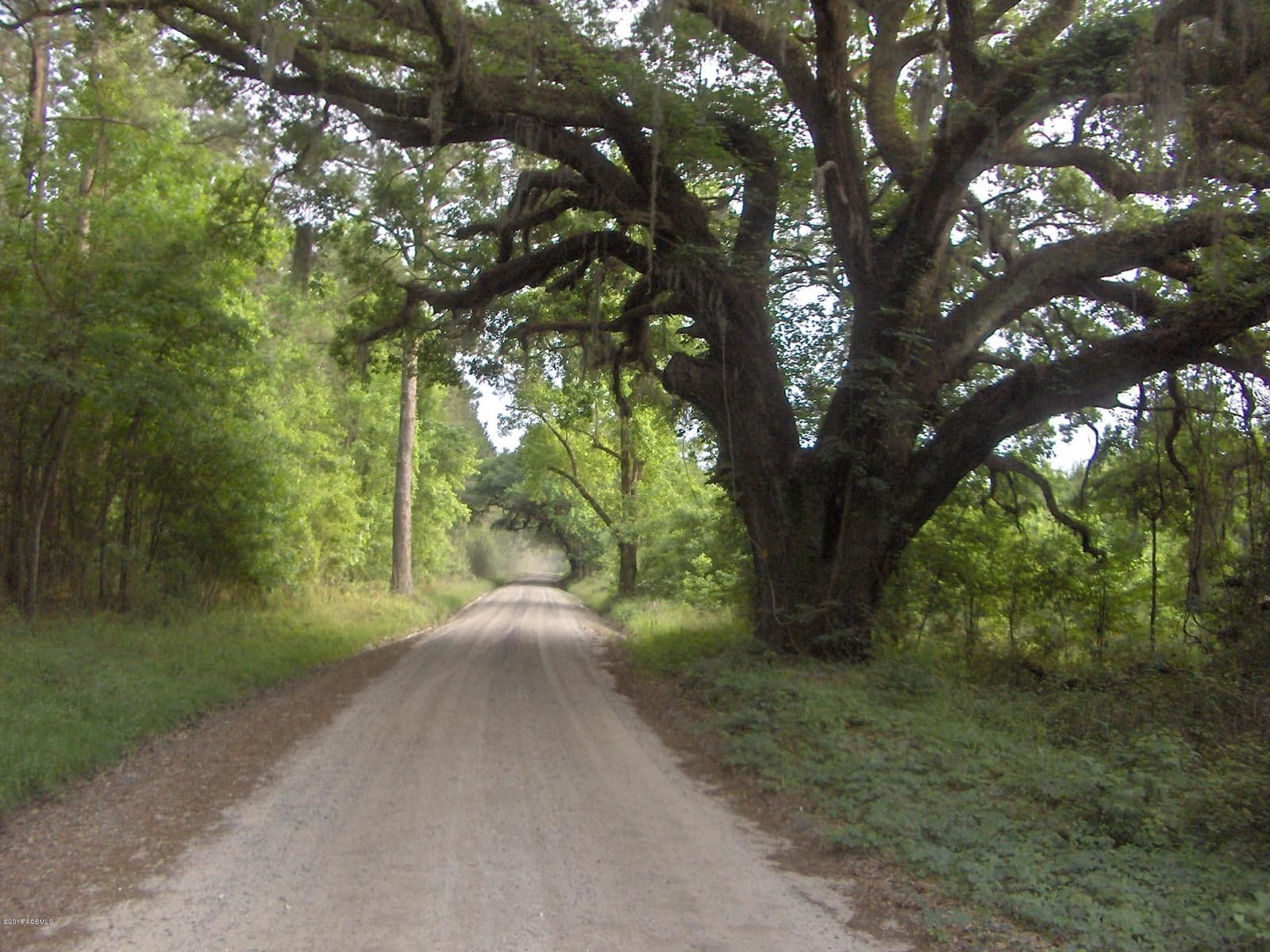 0000 Jasper Station Road, Ridgeland, SC 29936 — photo 1 of 9