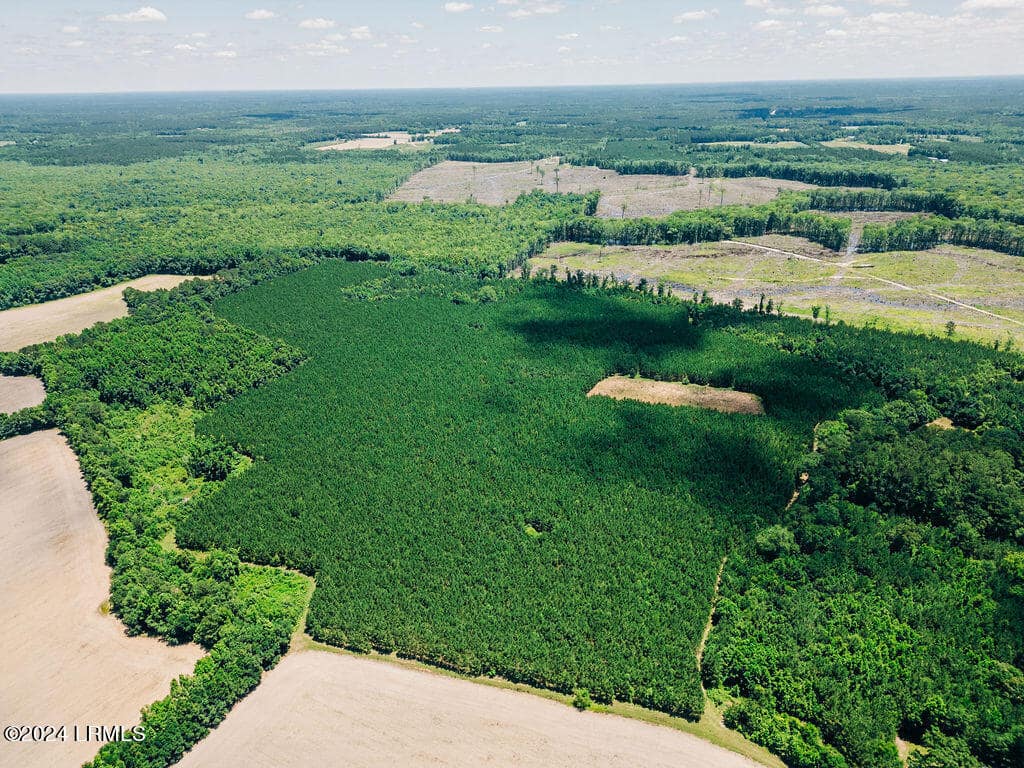 0000 Varnadoe Road, Islandton, SC 29929 — photo 1 of 10