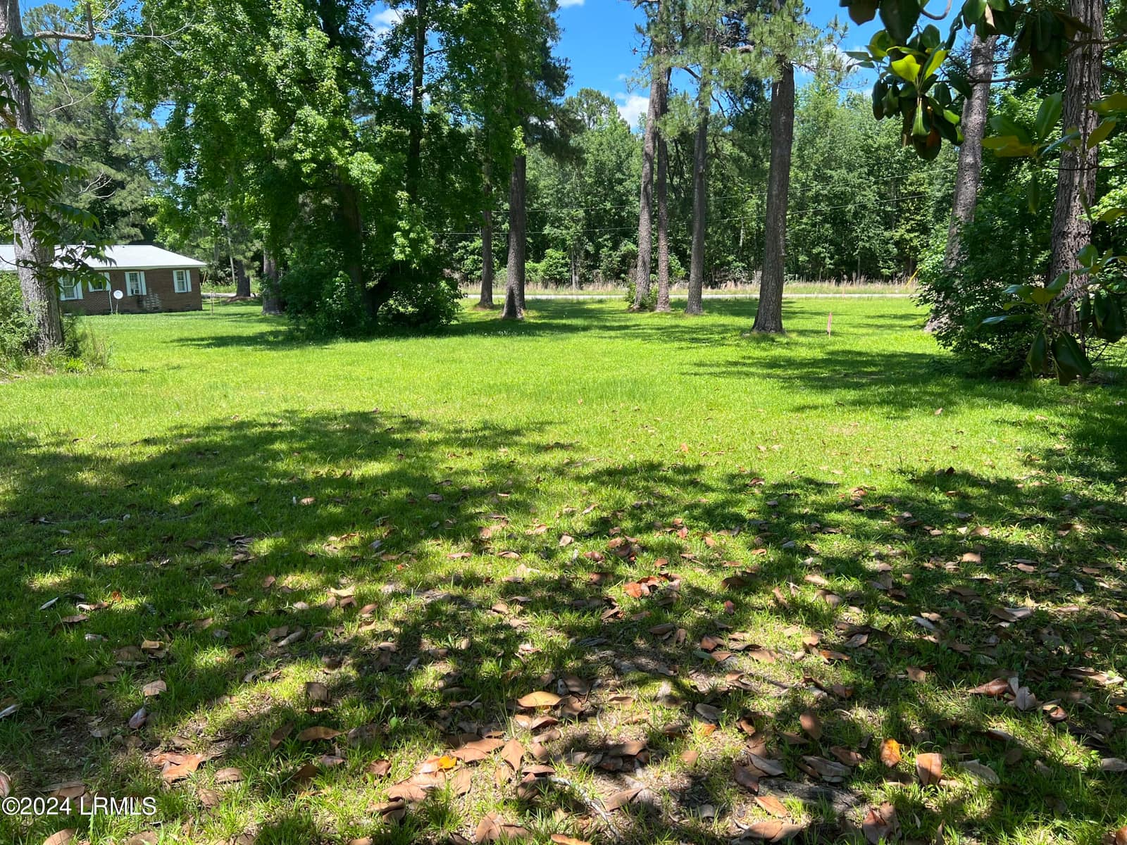 Tbd Elm Street E, Hampton, SC 29924 — photo 1 of 3