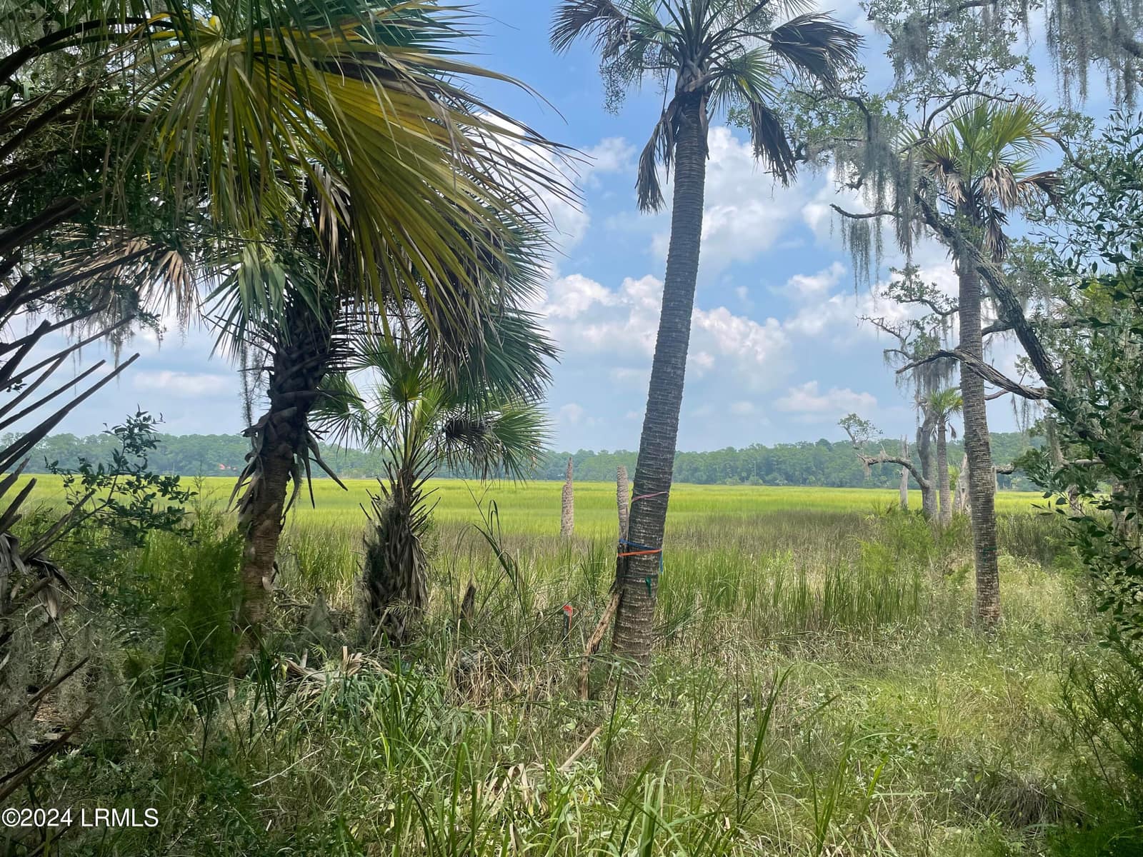 12 Woodstork Landing, Okatie, SC 29909 — photo 1 of 2